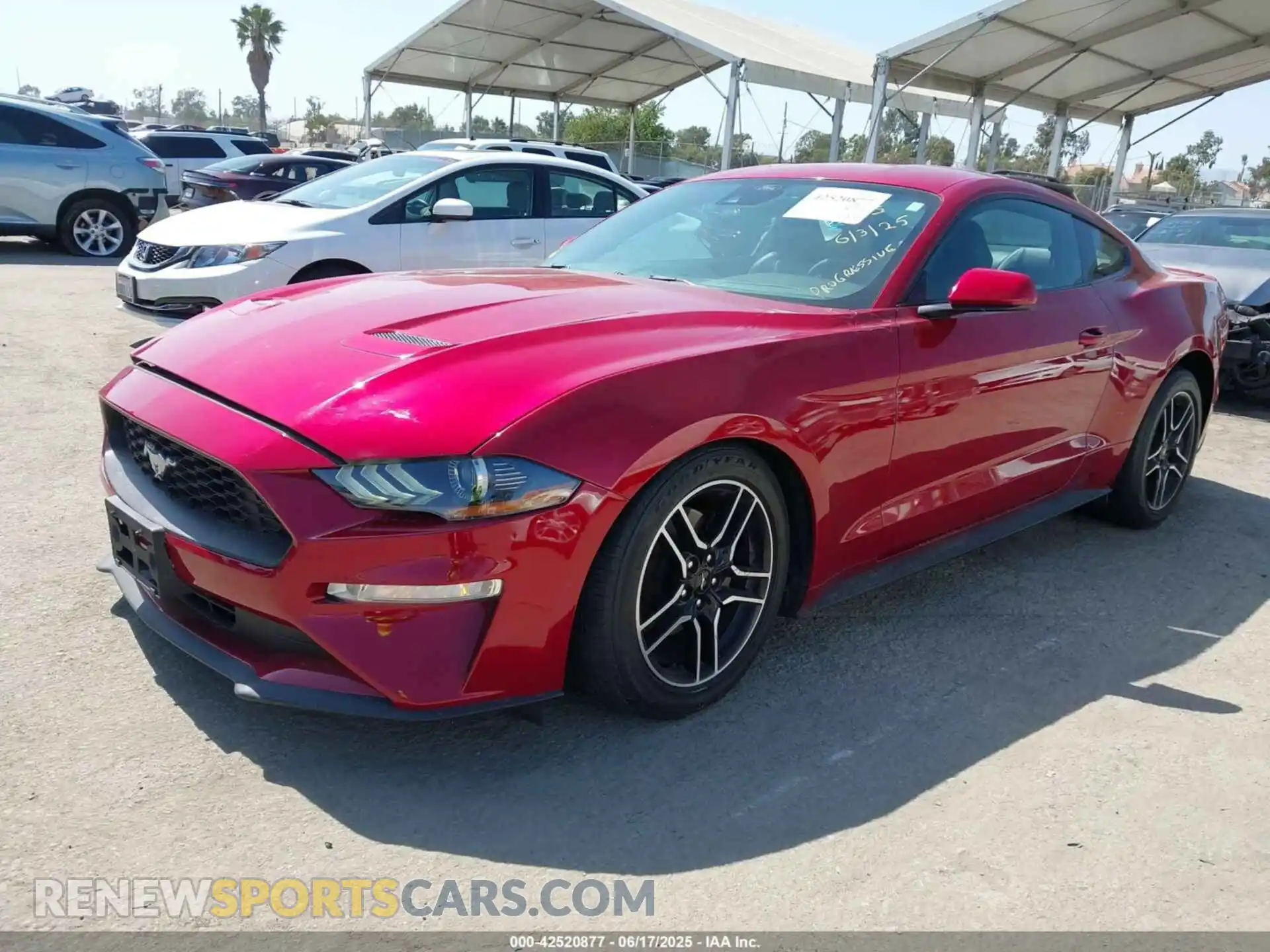 2 fotografías del automóvil dañado 1FA6P8TH7M5125744 FORD MUSTANG 2021
