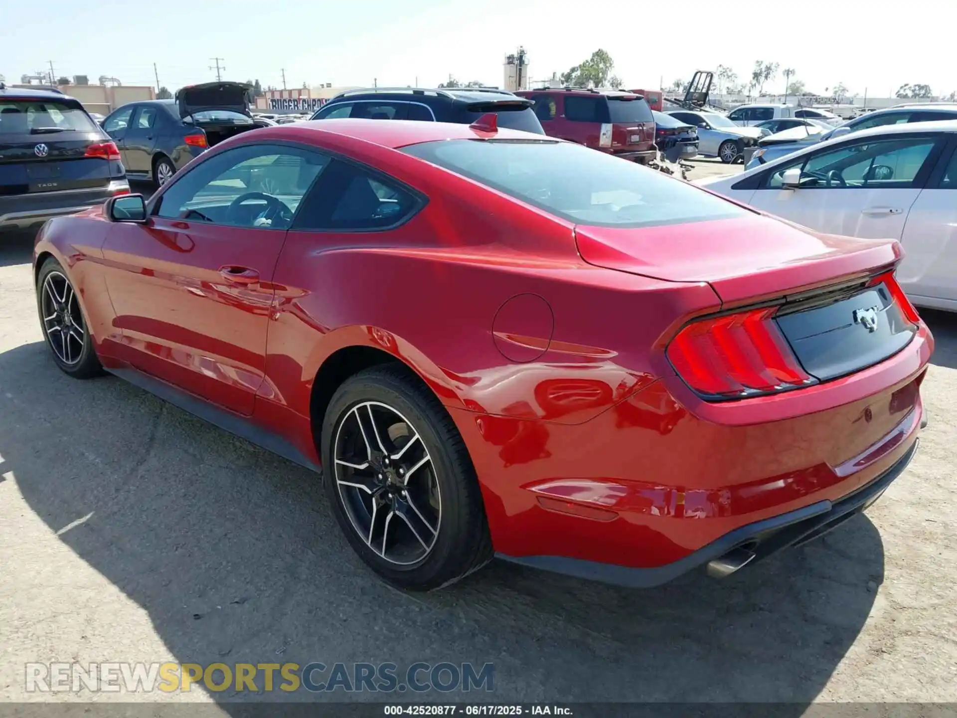 3 fotografías del automóvil dañado 1FA6P8TH7M5125744 FORD MUSTANG 2021