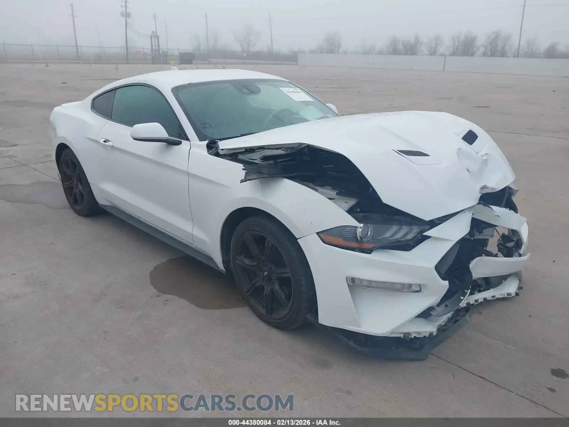 1 Photograph of a damaged car 1FA6P8THXM5114057 FORD MUSTANG 2021