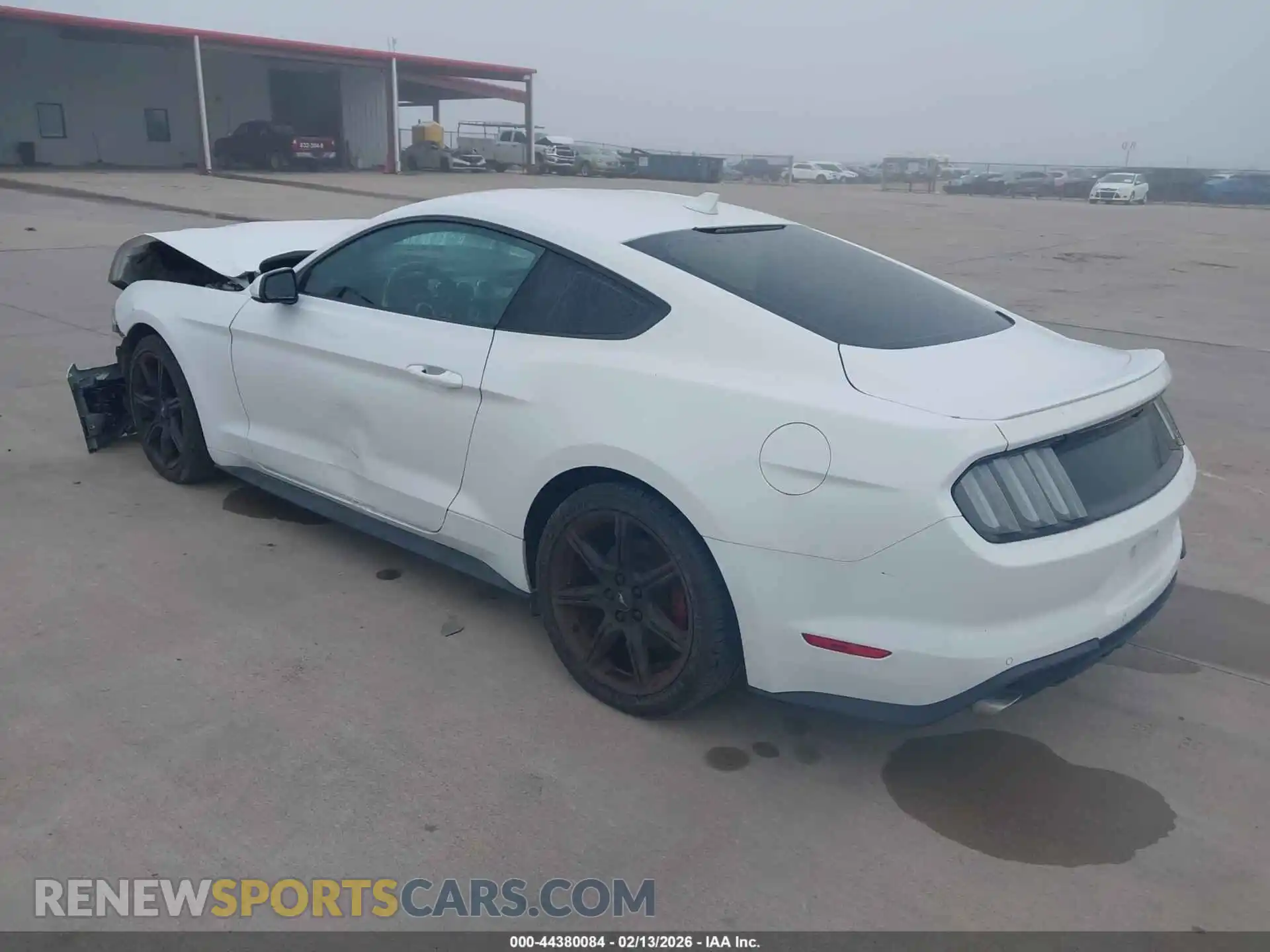 3 Photograph of a damaged car 1FA6P8THXM5114057 FORD MUSTANG 2021