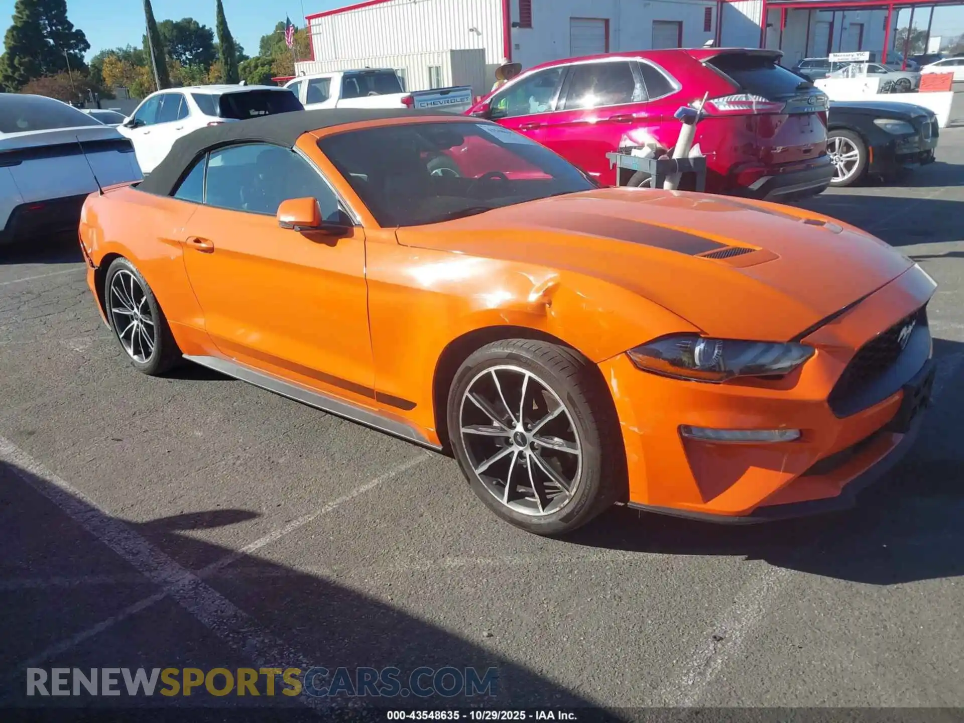 1 Photograph of a damaged car 1FATP8UH8M5114494 FORD MUSTANG 2021