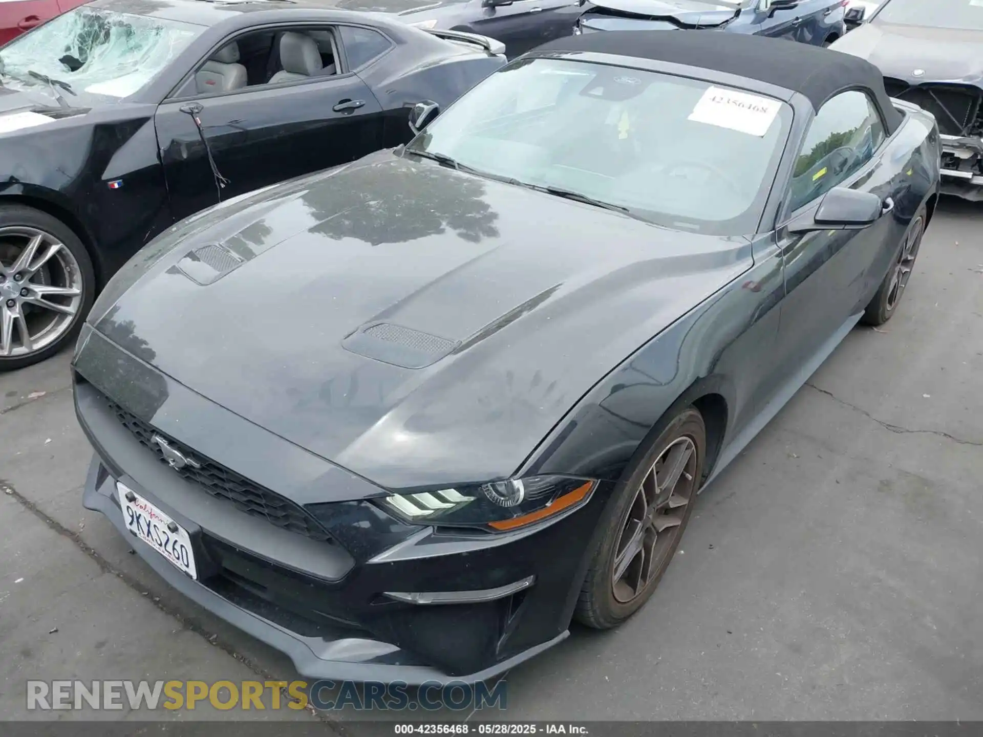 2 Photograph of a damaged car 1FATP8UH8M5123051 FORD MUSTANG 2021