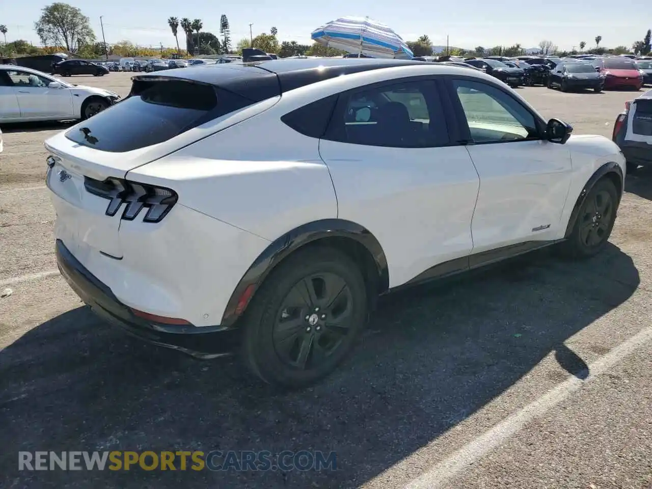 3 Photograph of a damaged car 3FMTK2R74MMA36159 FORD MUSTANG 2021