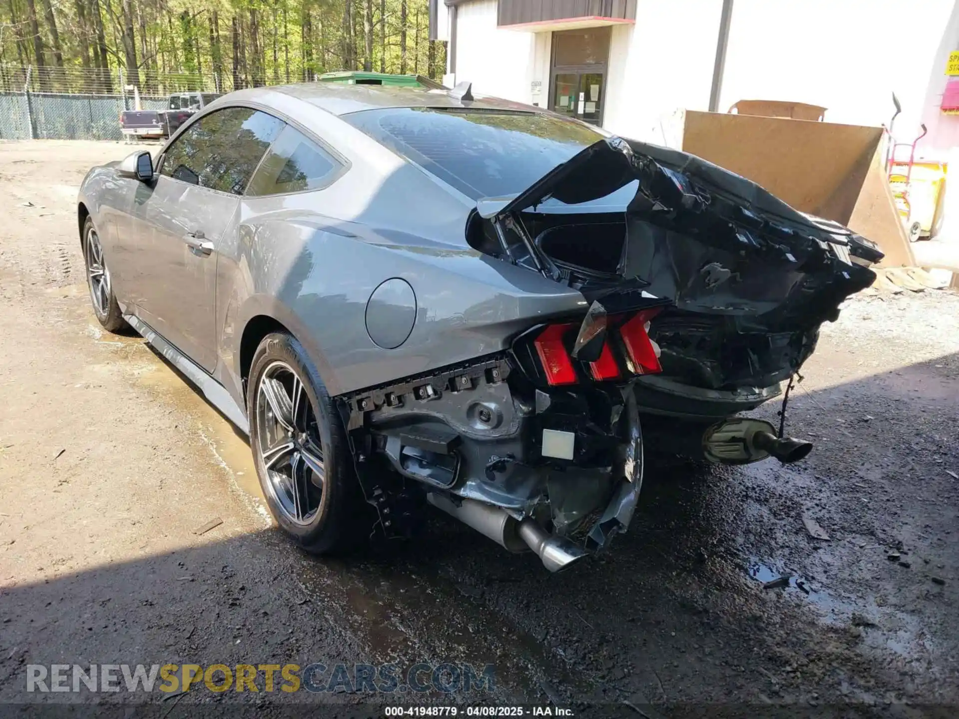 3 fotografías del automóvil dañado 1FA6P8TH7R5138548 FORD MUSTANG 2024