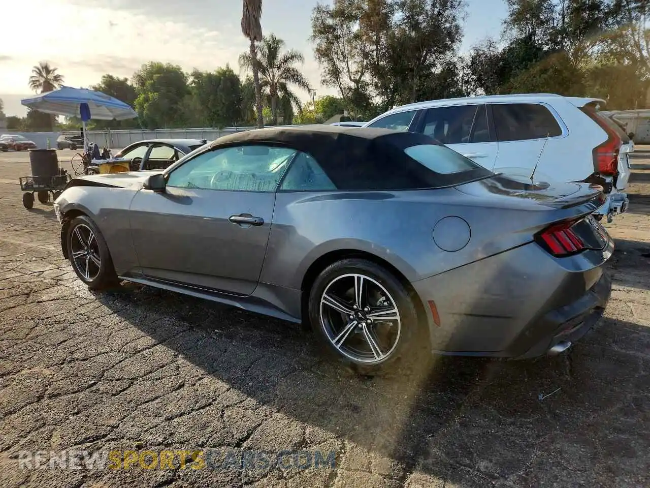 2 fotografías del automóvil dañado 1FAGP8UH8S5113733 FORD MUSTANG 2025