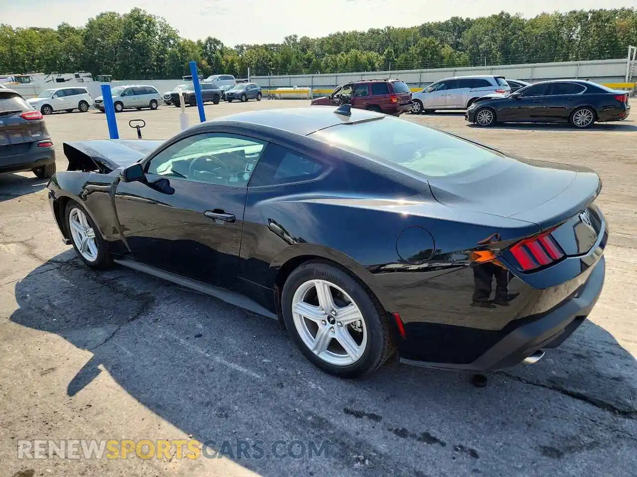 2 Photograph of a damaged car 1FA6P8TH1T5113331 FORD MUSTANG 2026