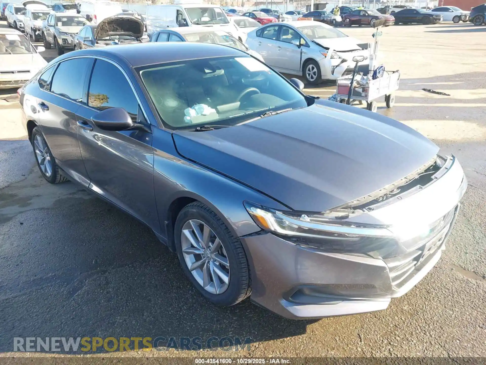 1 Photograph of a damaged car 1HGCV1F16MA005175 HONDA ACCORD 2021