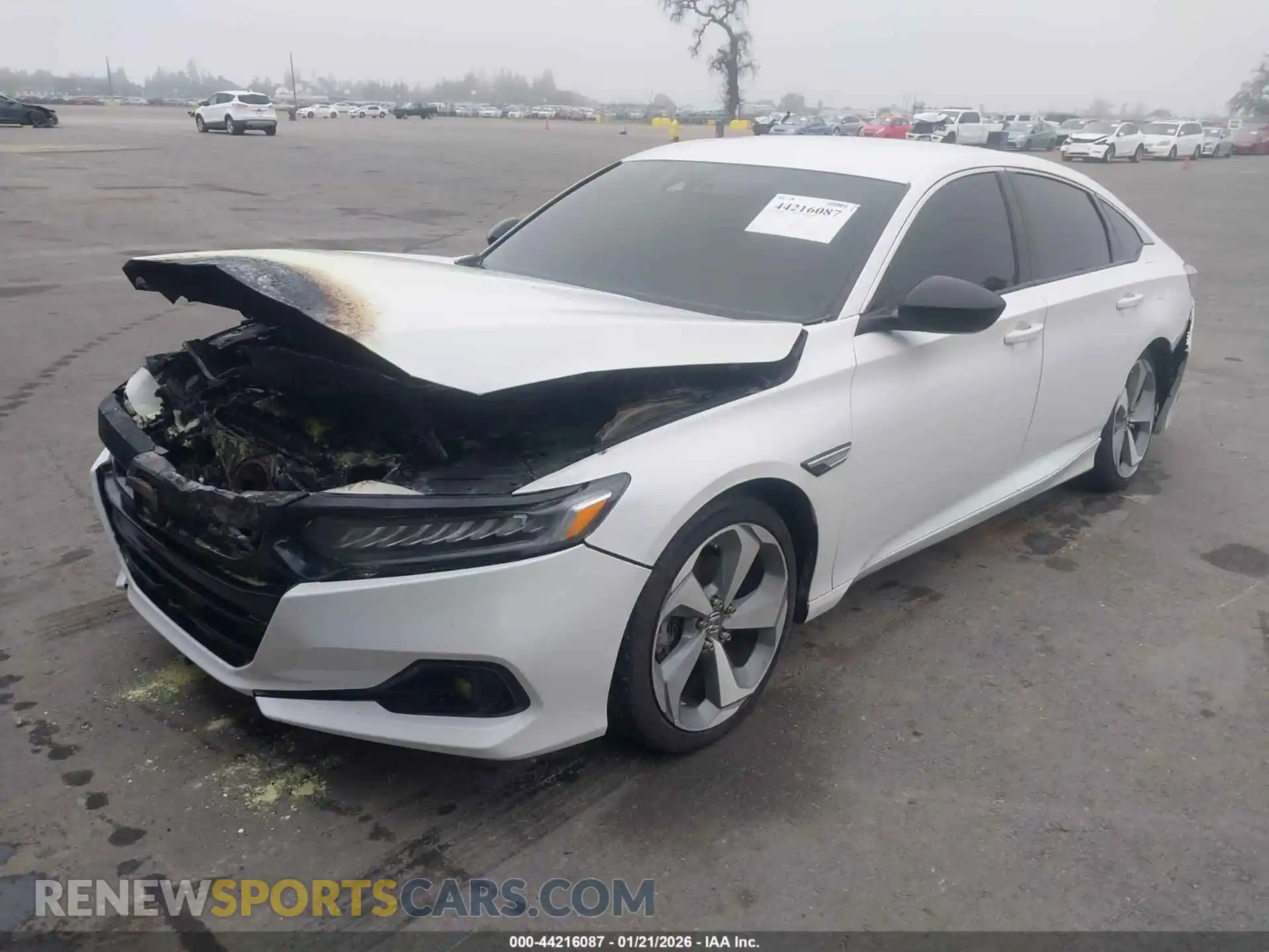 2 Фотография поврежденного автомобиля 1HGCV1F31NA016281 HONDA ACCORD 2022