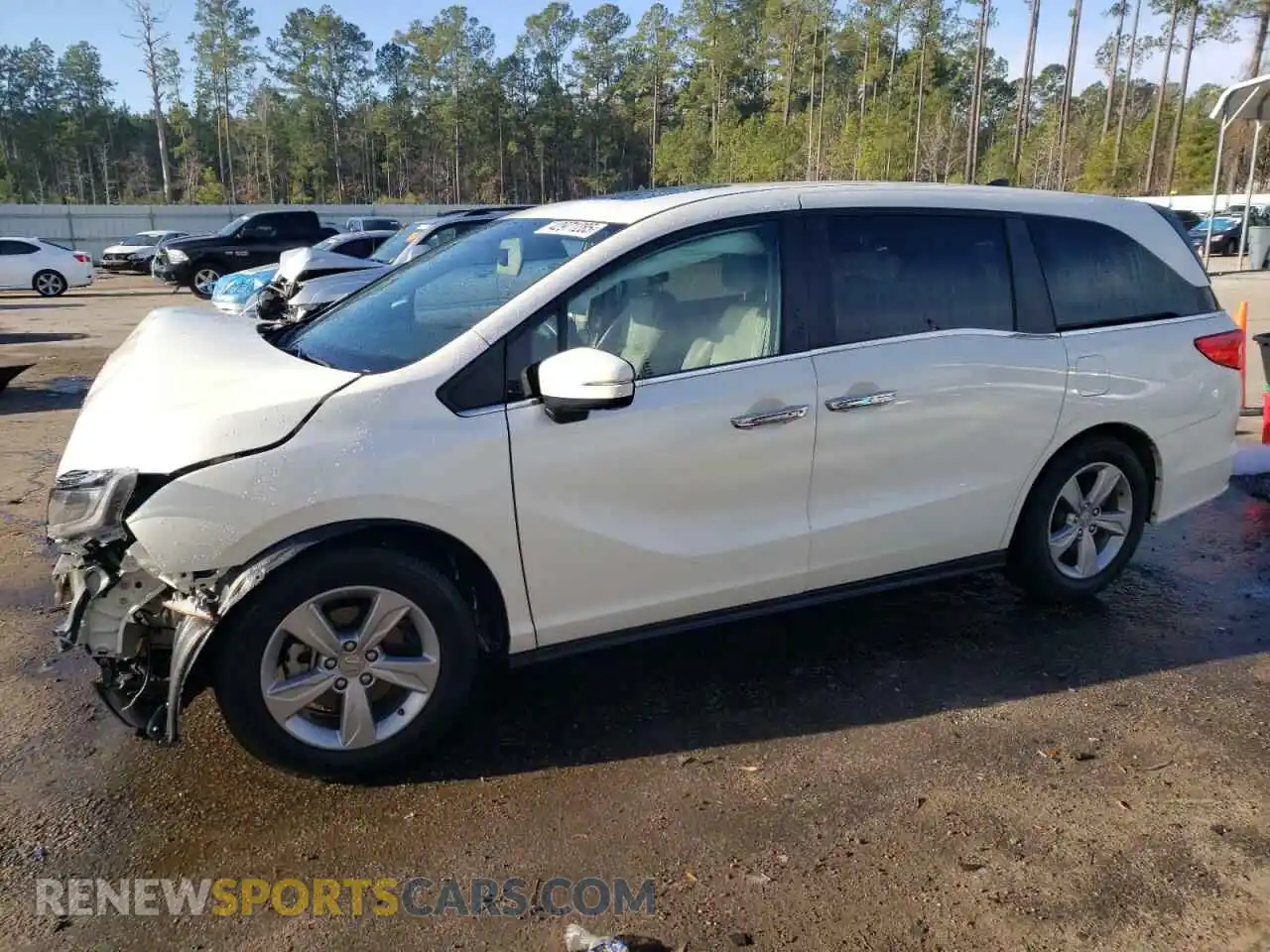 1 Photograph of a damaged car 5FNRL6H75KB017979 HONDA All Models 2019