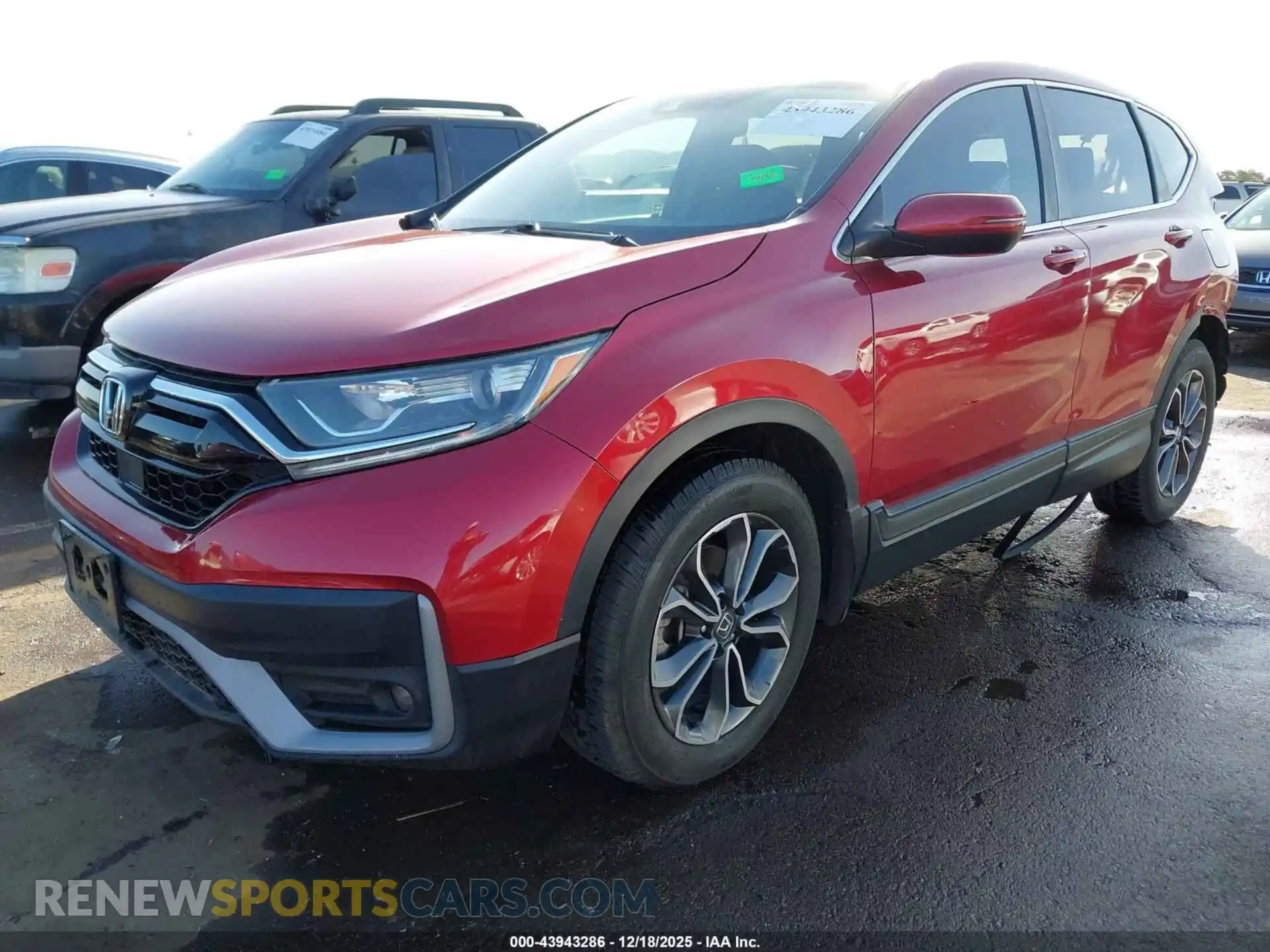 2 Photograph of a damaged car 5J6RW1H59MA005185 HONDA CR-V 2021