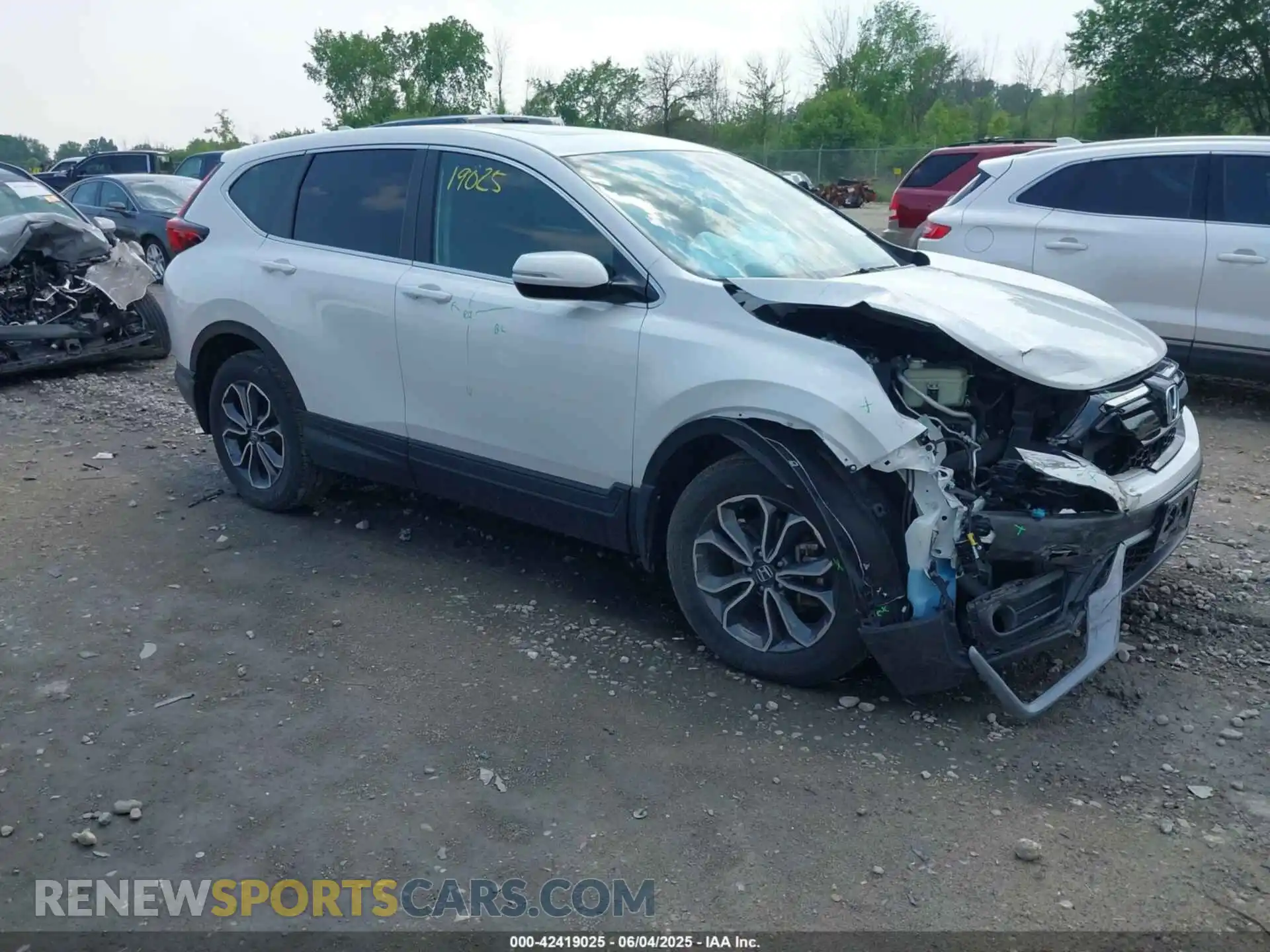1 Photograph of a damaged car 5J6RW2H52ML014627 HONDA CR-V 2021