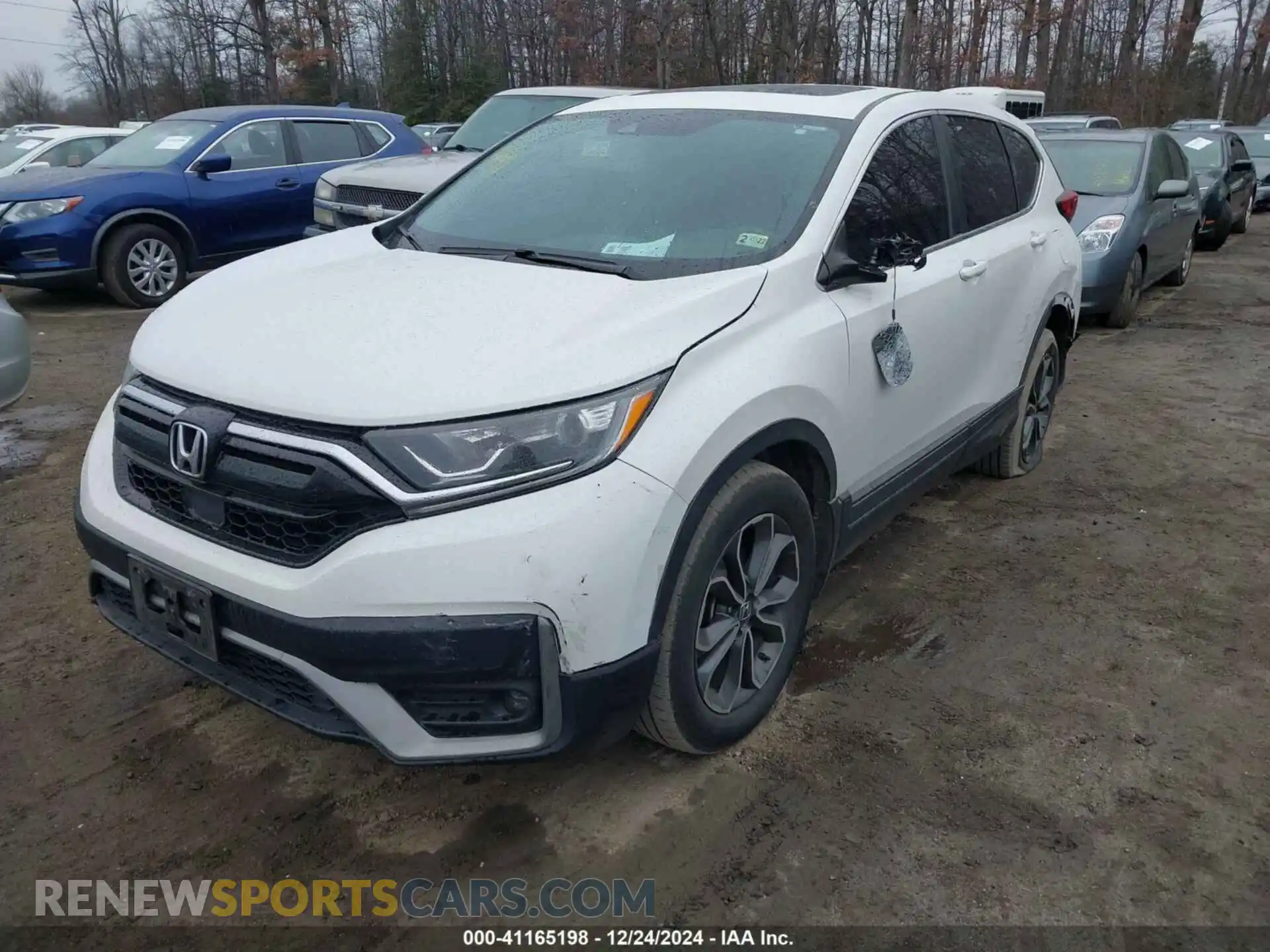 2 Photograph of a damaged car 5J6RW2H53MA005222 HONDA CR-V 2021