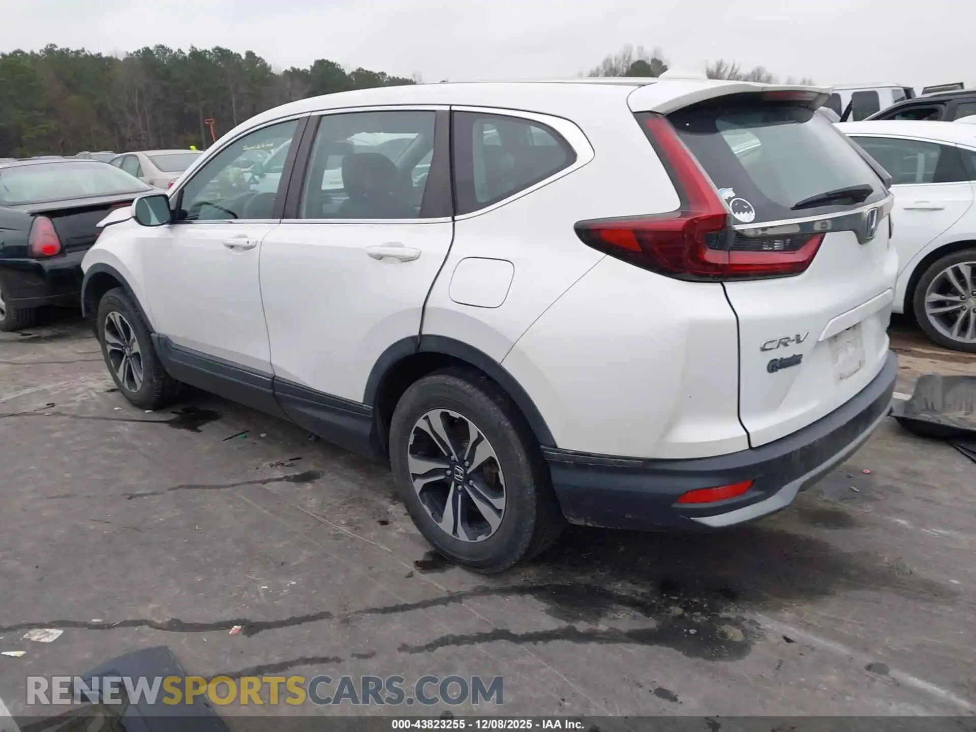 3 Photograph of a damaged car 5J6RW2H71ML025734 HONDA CR-V 2021