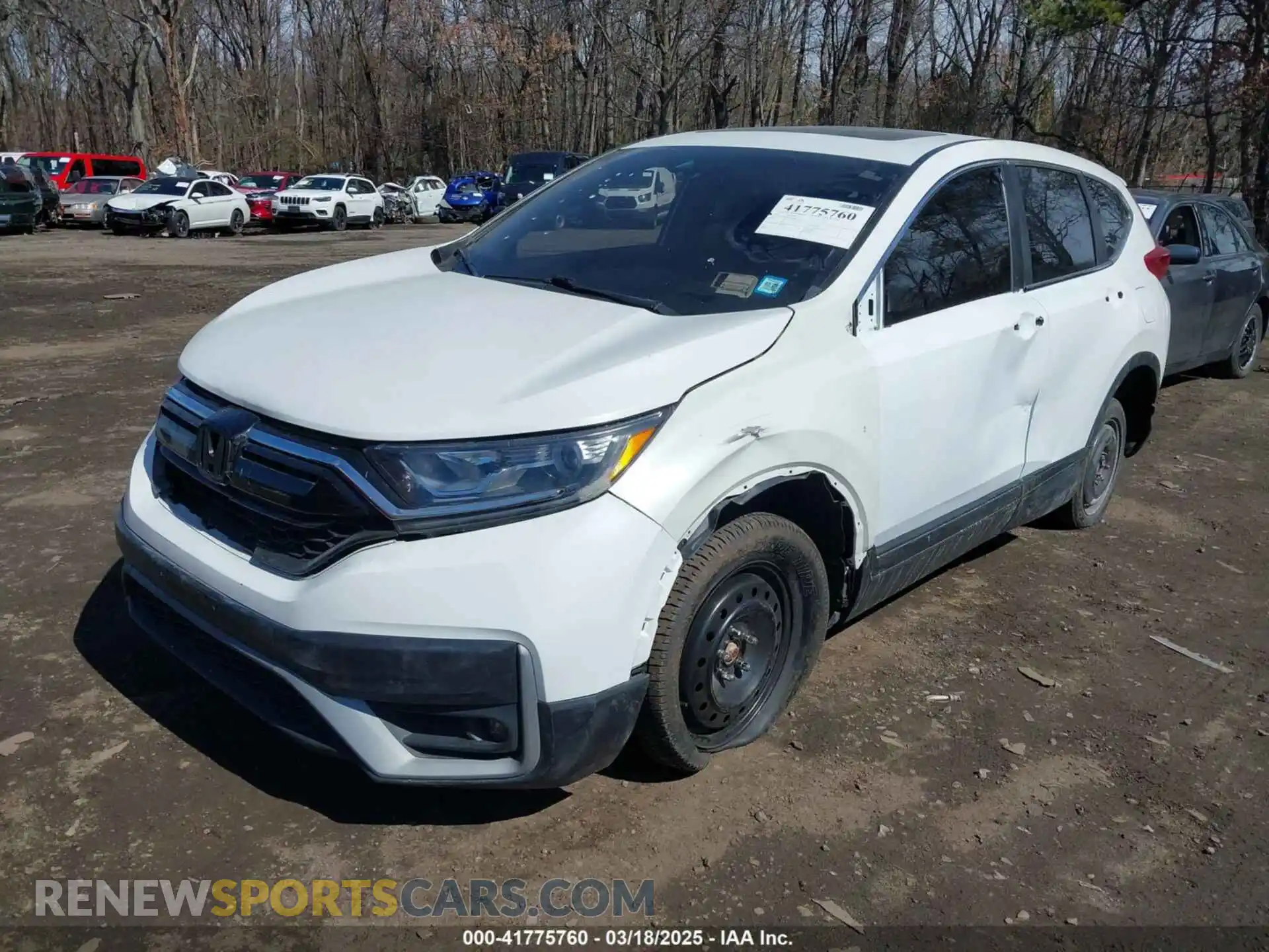 2 Photograph of a damaged car 5J6RW2H83MA011659 HONDA CR-V 2021