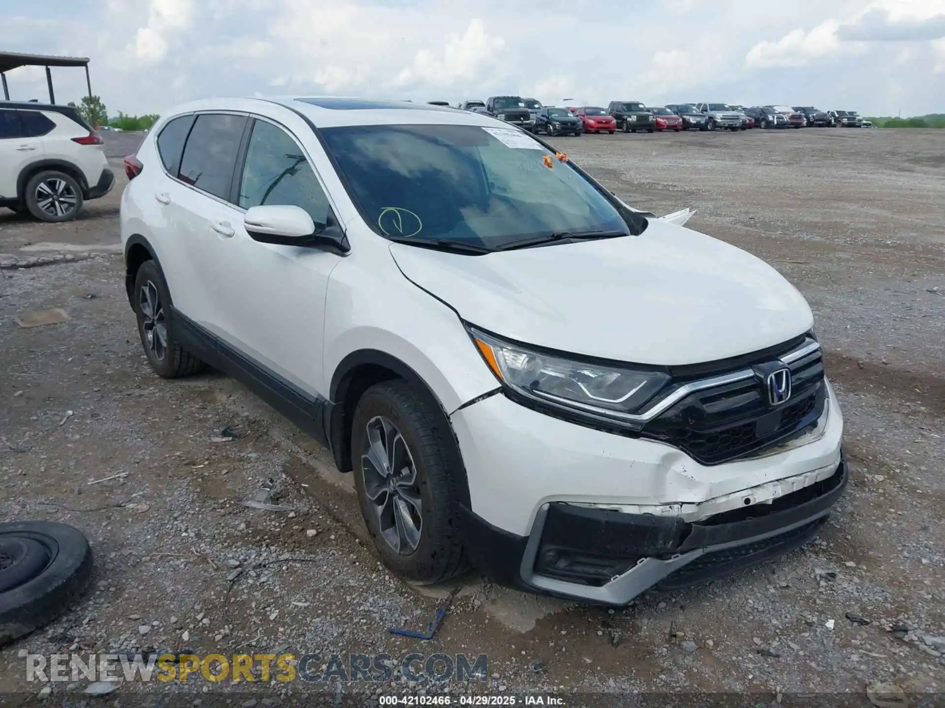 1 Photograph of a damaged car 5J6RW2H88ML010284 HONDA CR-V 2021