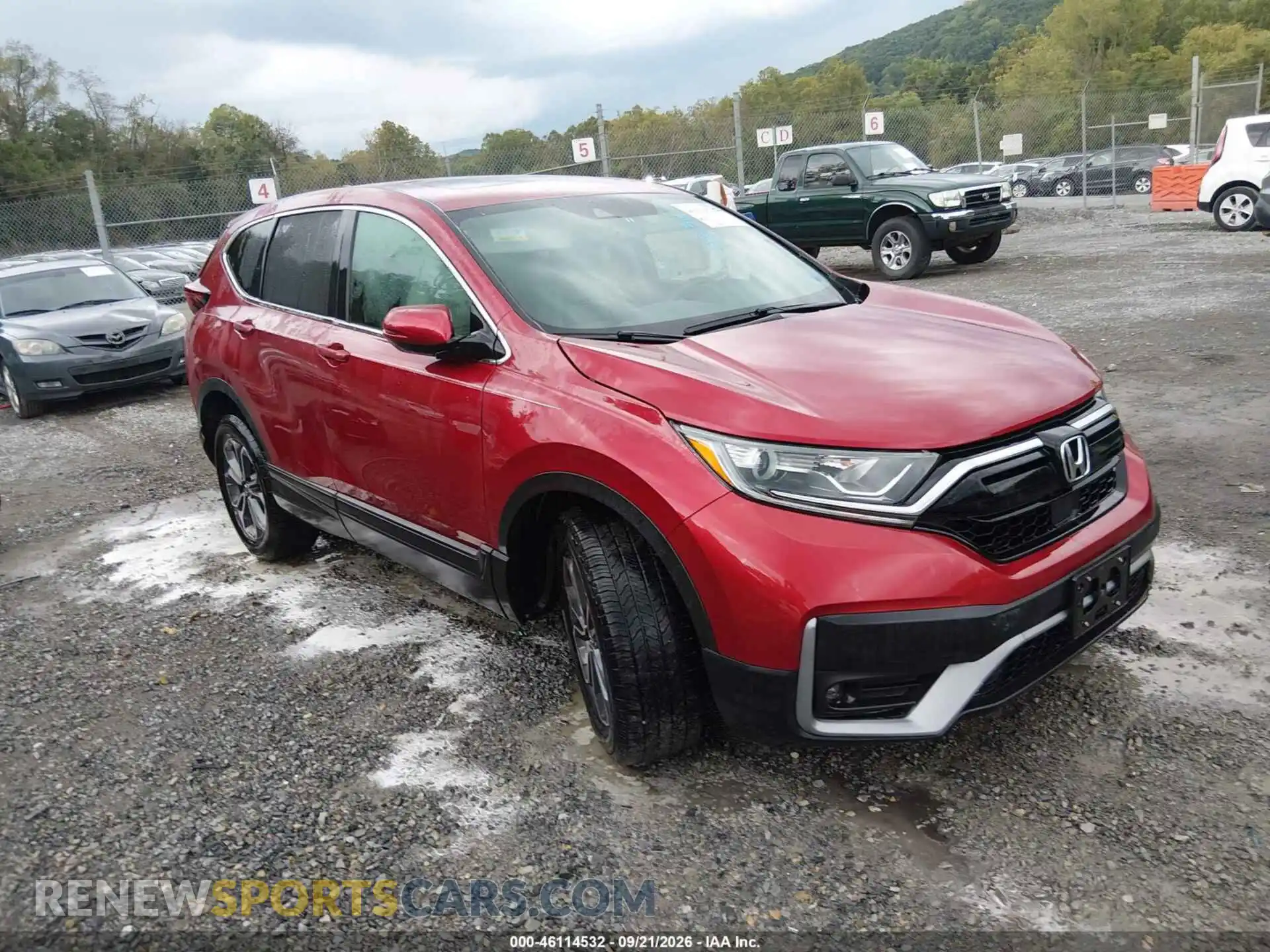 1 Photograph of a damaged car 5J6RW2H88ML022466 HONDA CR-V 2021