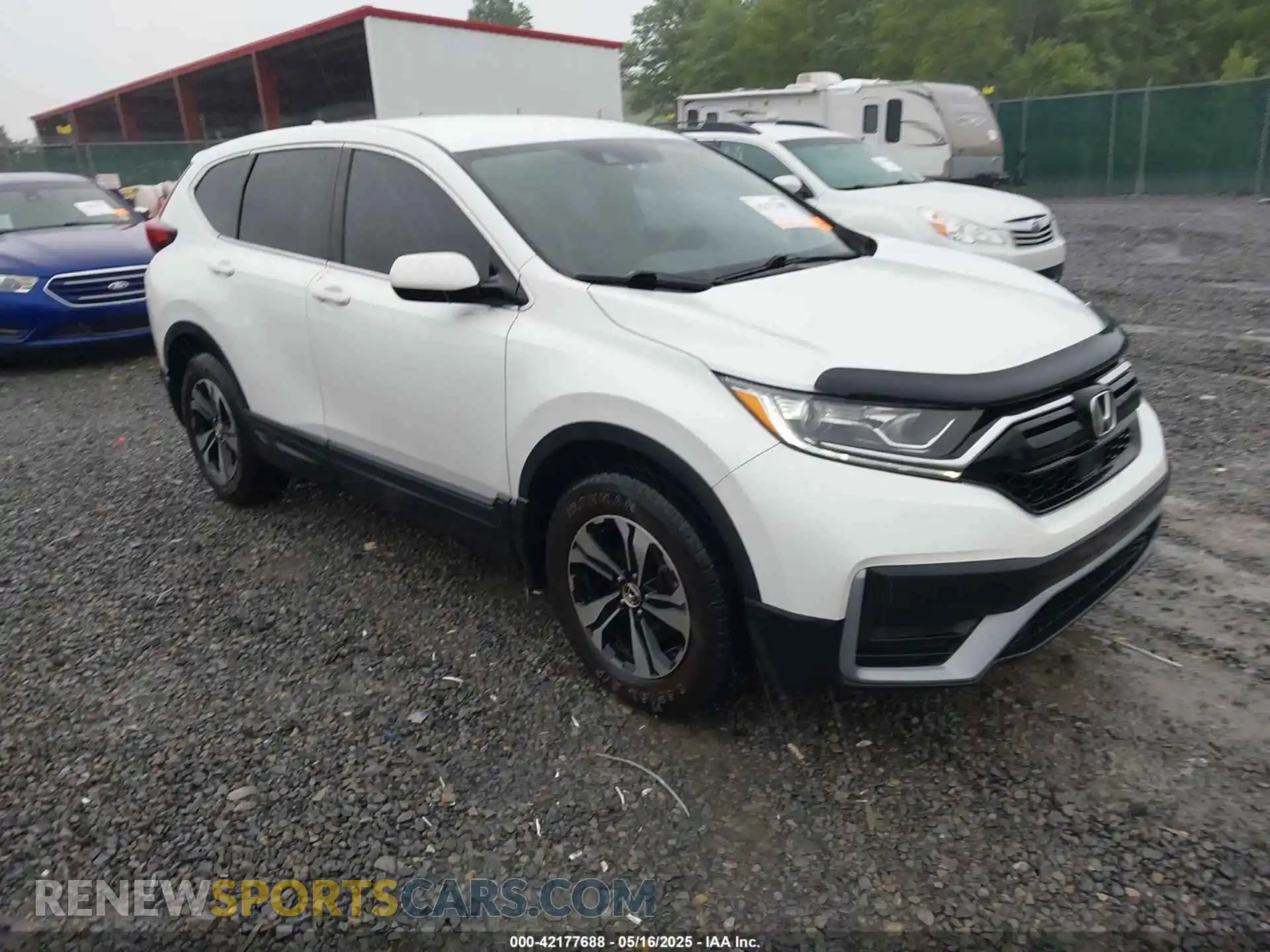 1 Photograph of a damaged car 7FARW2H75ME024356 HONDA CR-V 2021