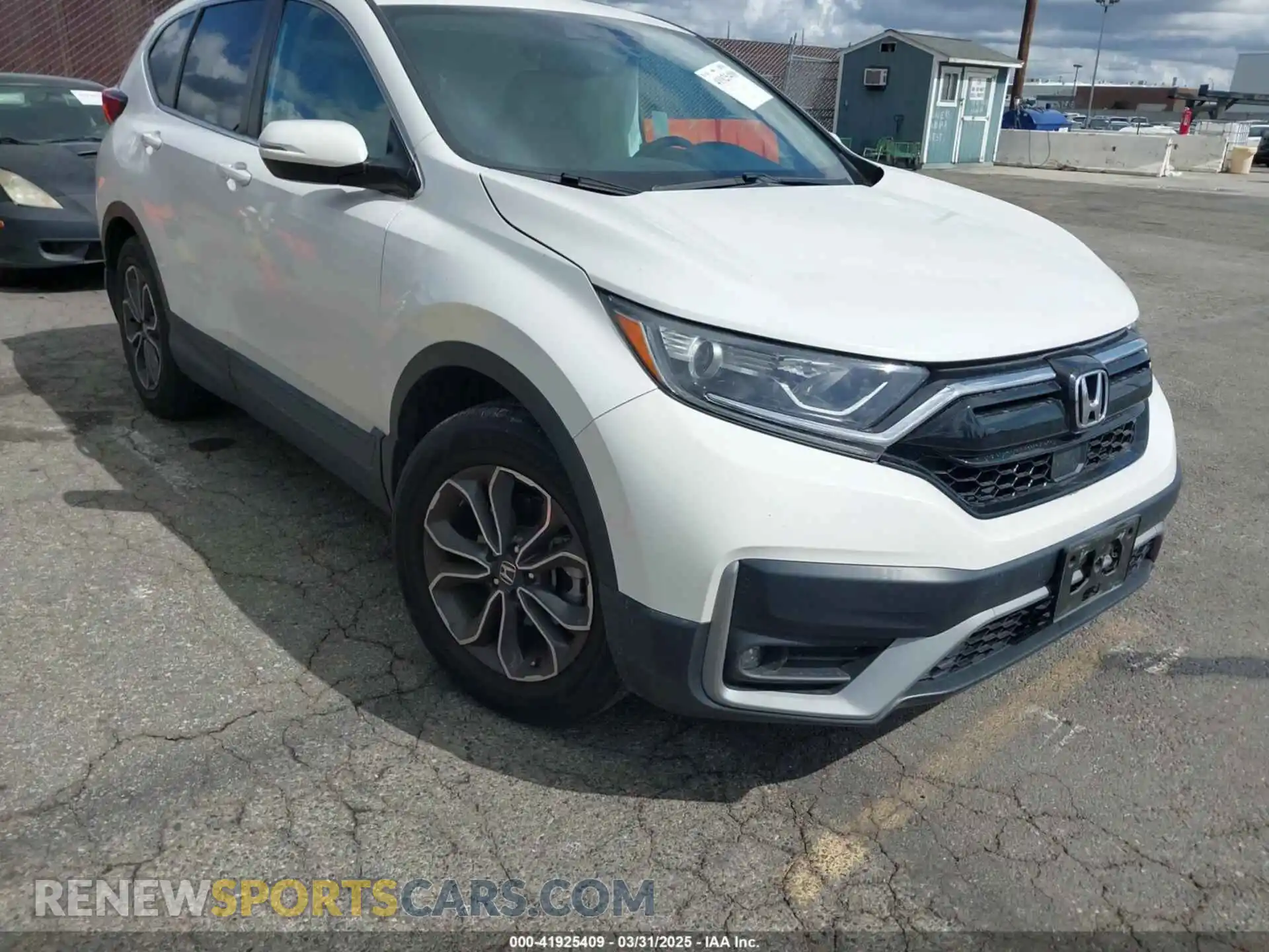 1 Photograph of a damaged car 5J6RW1H80NA010979 HONDA CR-V 2022