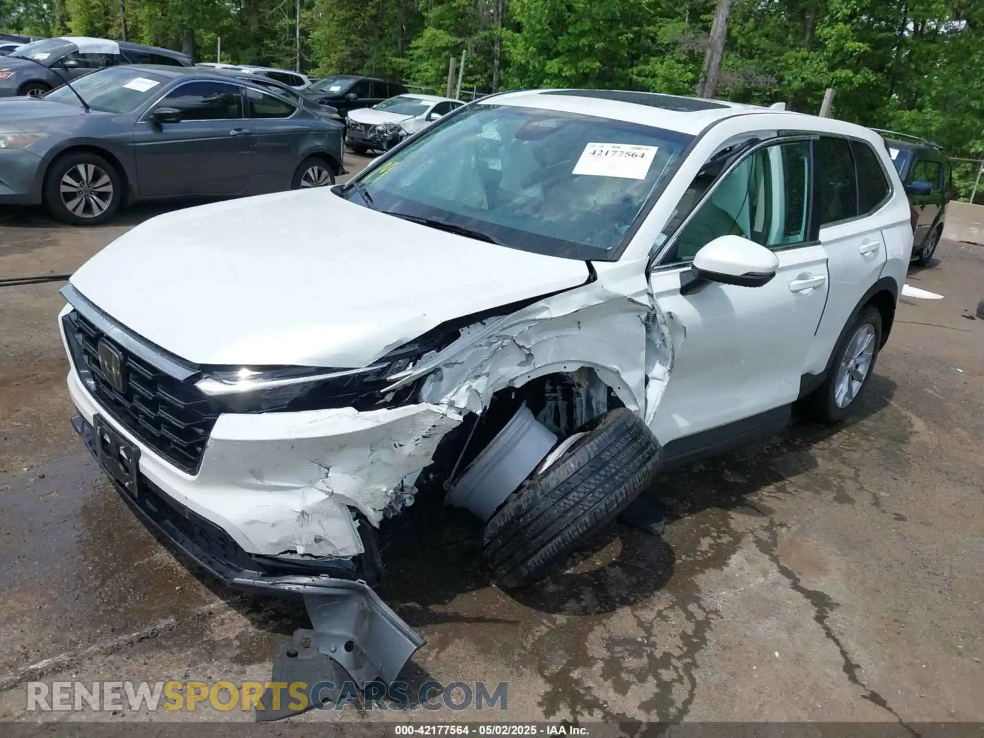2 Photograph of a damaged car 7FARS4H72PE020132 HONDA CR-V 2023
