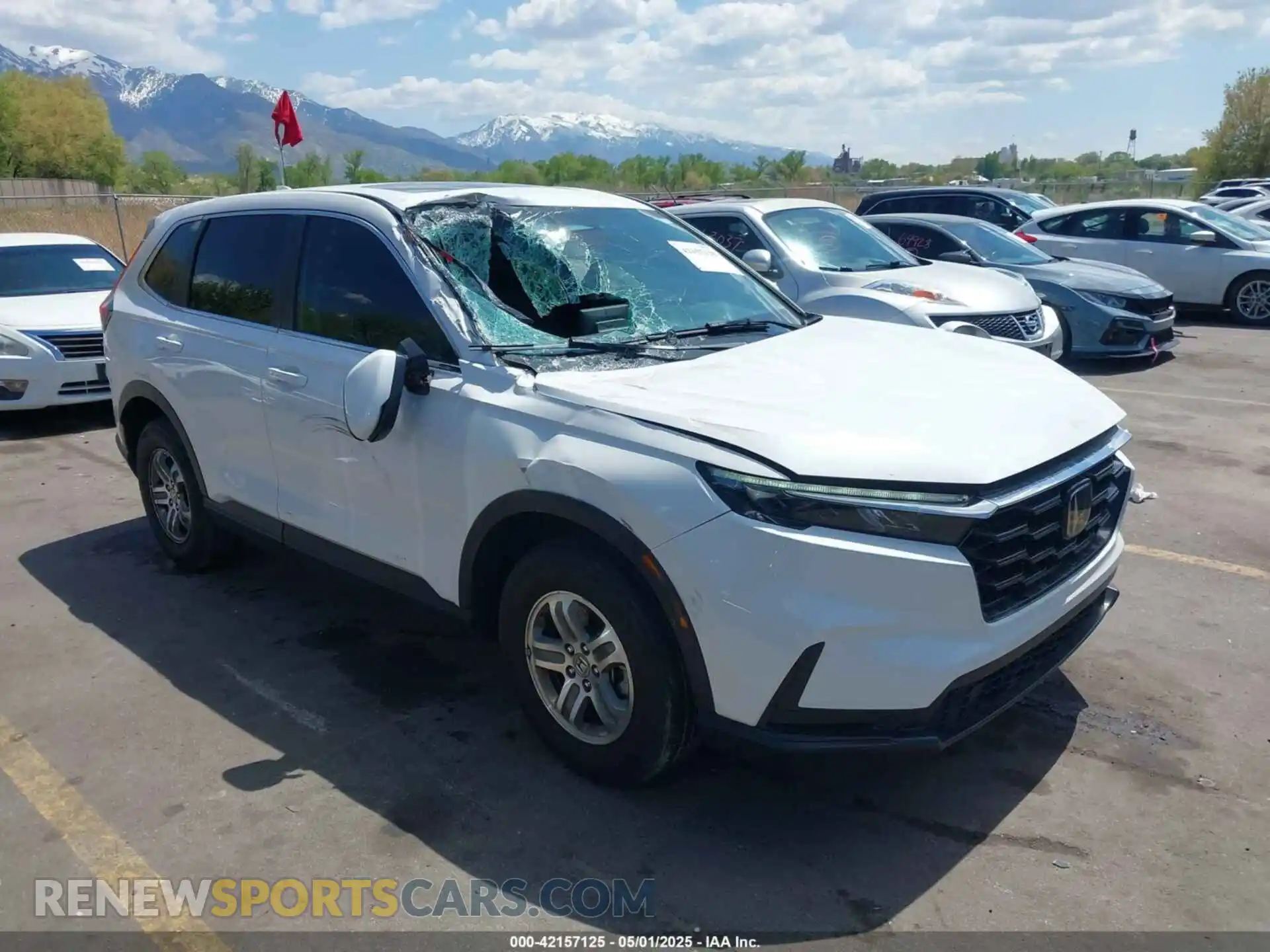 1 Фотография поврежденного автомобиля 2HKRS4H40RH442650 HONDA CR-V 2024