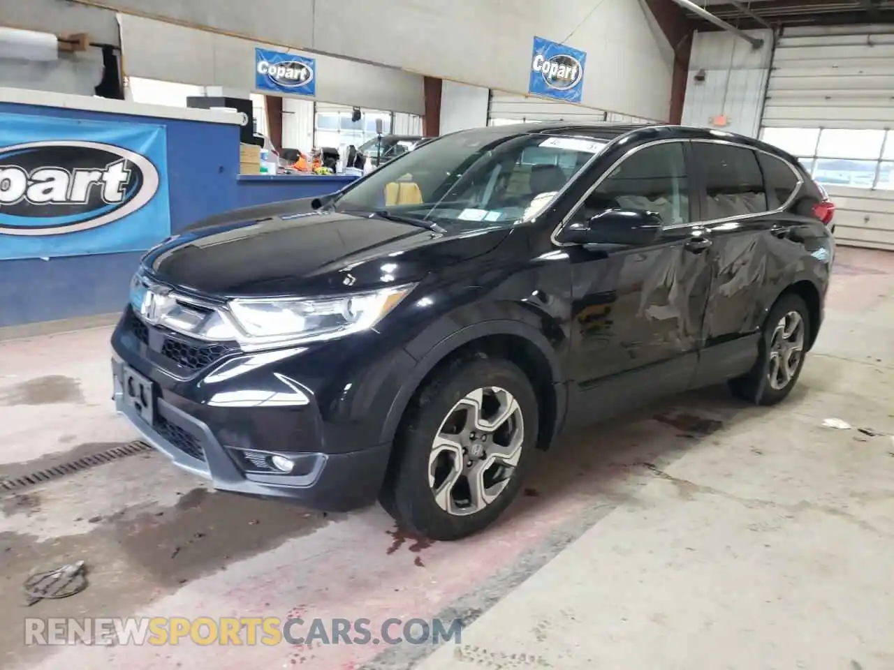 1 Photograph of a damaged car 5J6RW2H55KA006482 HONDA CRV 2019