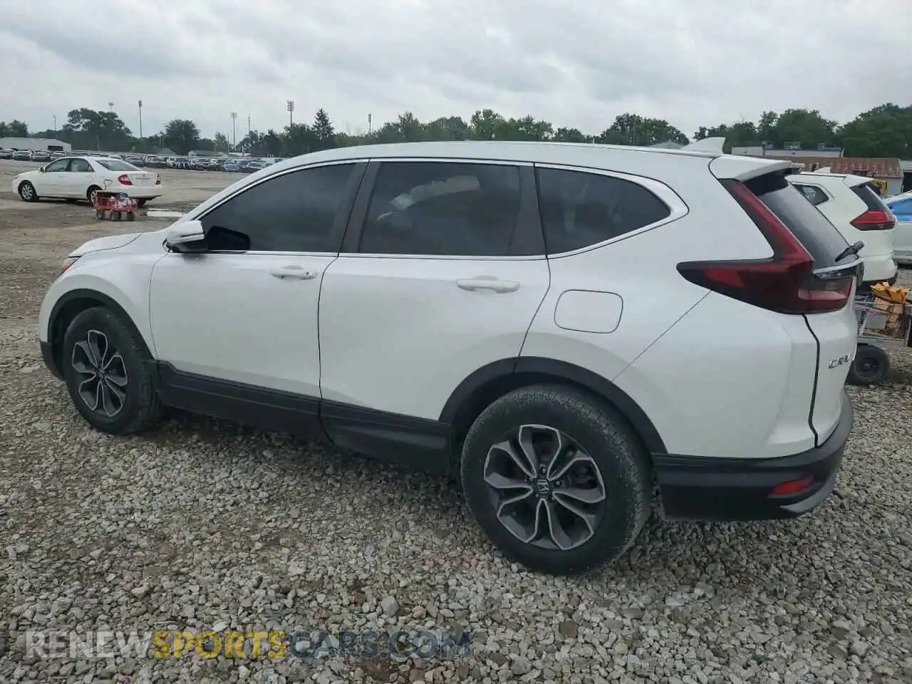 2 Photograph of a damaged car 5J6RW1H56ML005648 HONDA CRV 2021