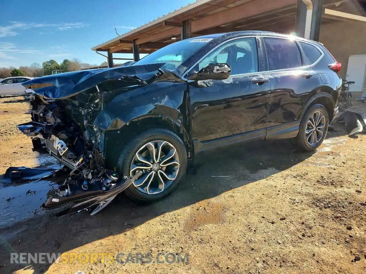 1 Photograph of a damaged car 5J6RW2H57ML005597 HONDA CRV 2021