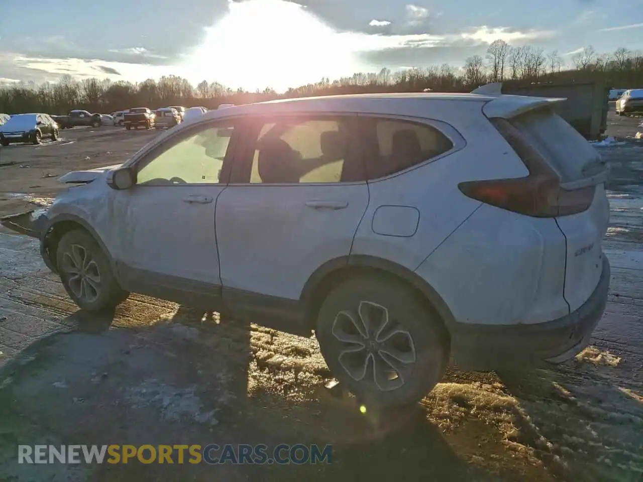 2 Photograph of a damaged car 5J6RW2H59ML020196 HONDA CRV 2021
