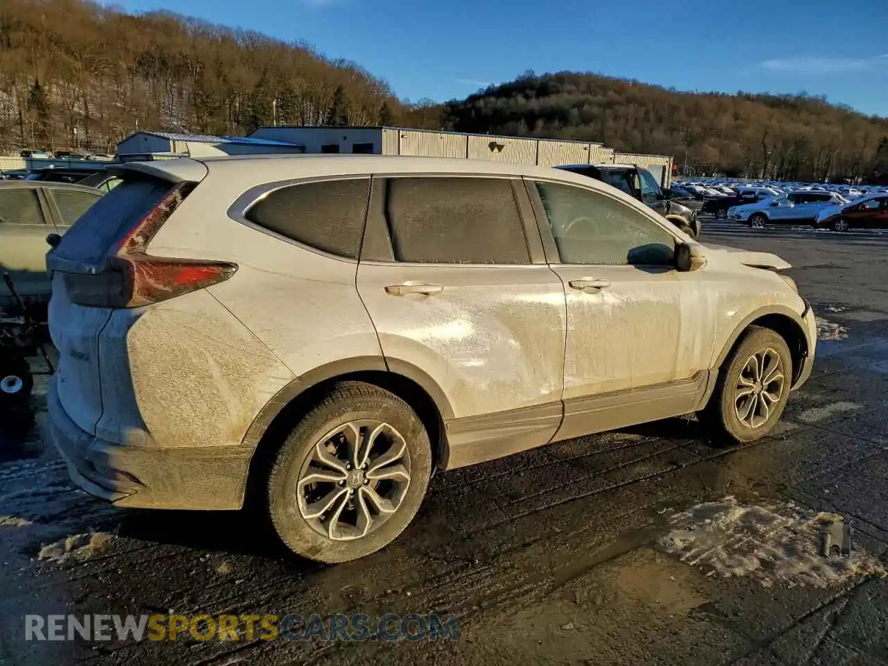 3 Photograph of a damaged car 5J6RW2H59ML020196 HONDA CRV 2021
