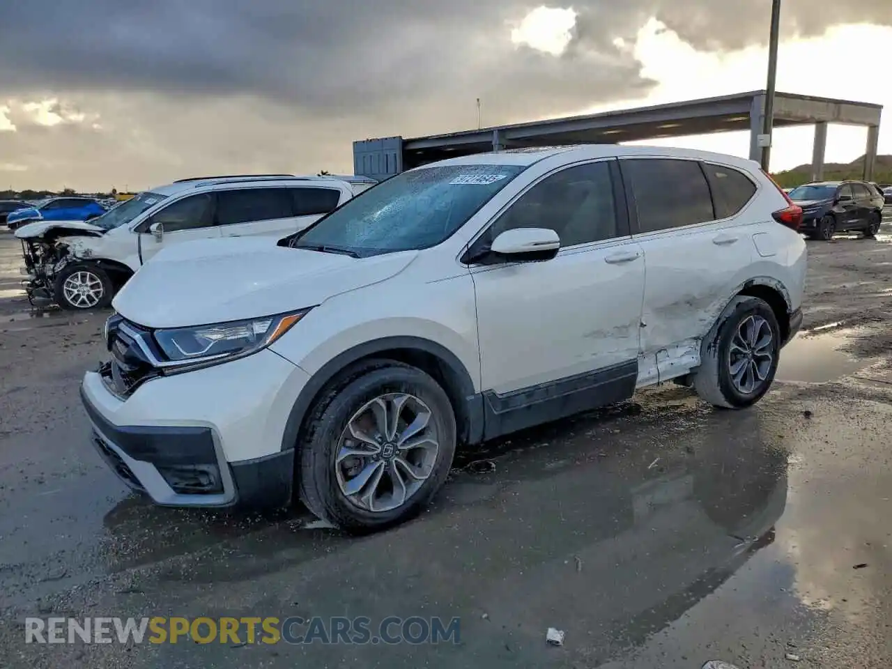 1 Фотография поврежденного автомобиля 5J6RW1H55NA004441 HONDA CRV 2022