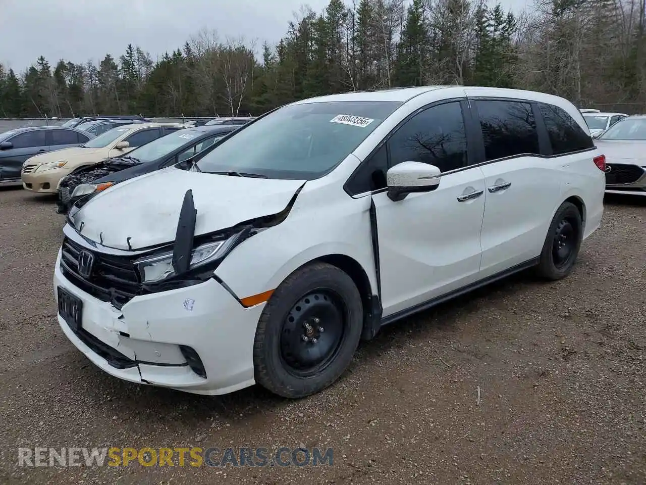 1 Photograph of a damaged car 5FNRL6H62NB504469 HONDA ODYSSEY 2022