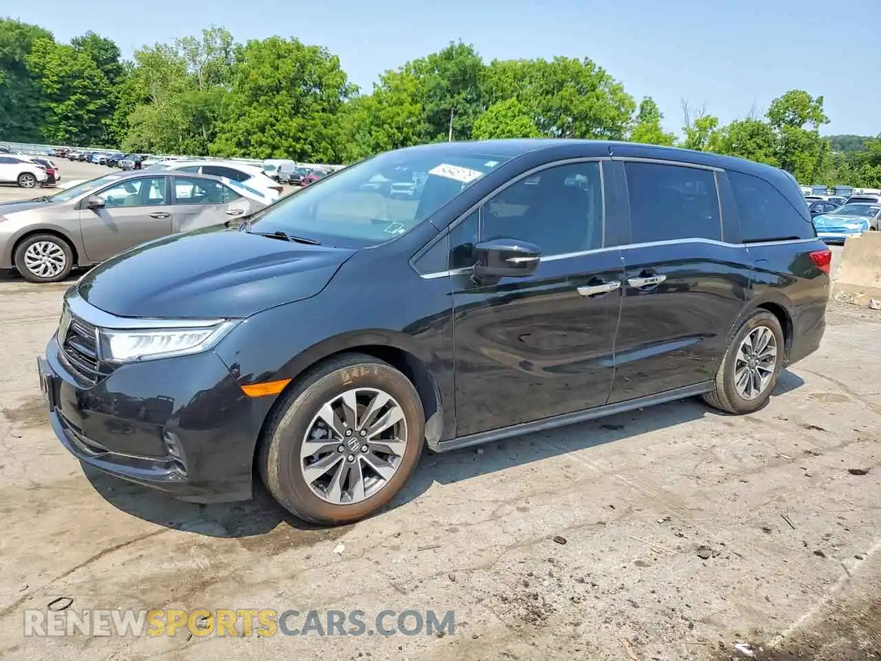 1 Фотография поврежденного автомобиля 5FNRL6H74NB065722 HONDA ODYSSEY 2022