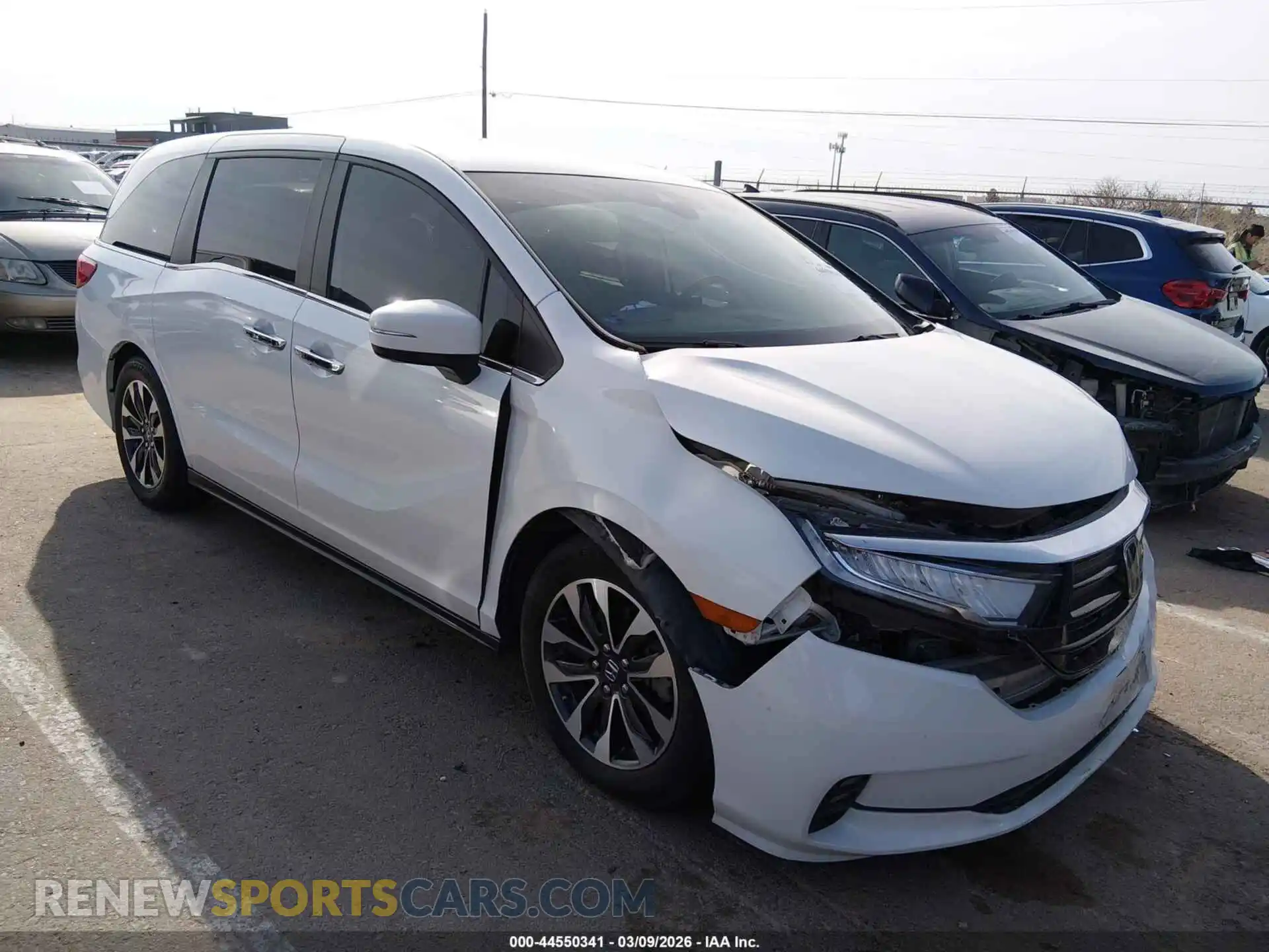 1 Фотография поврежденного автомобиля 5FNRL6H79NB044543 HONDA ODYSSEY 2022