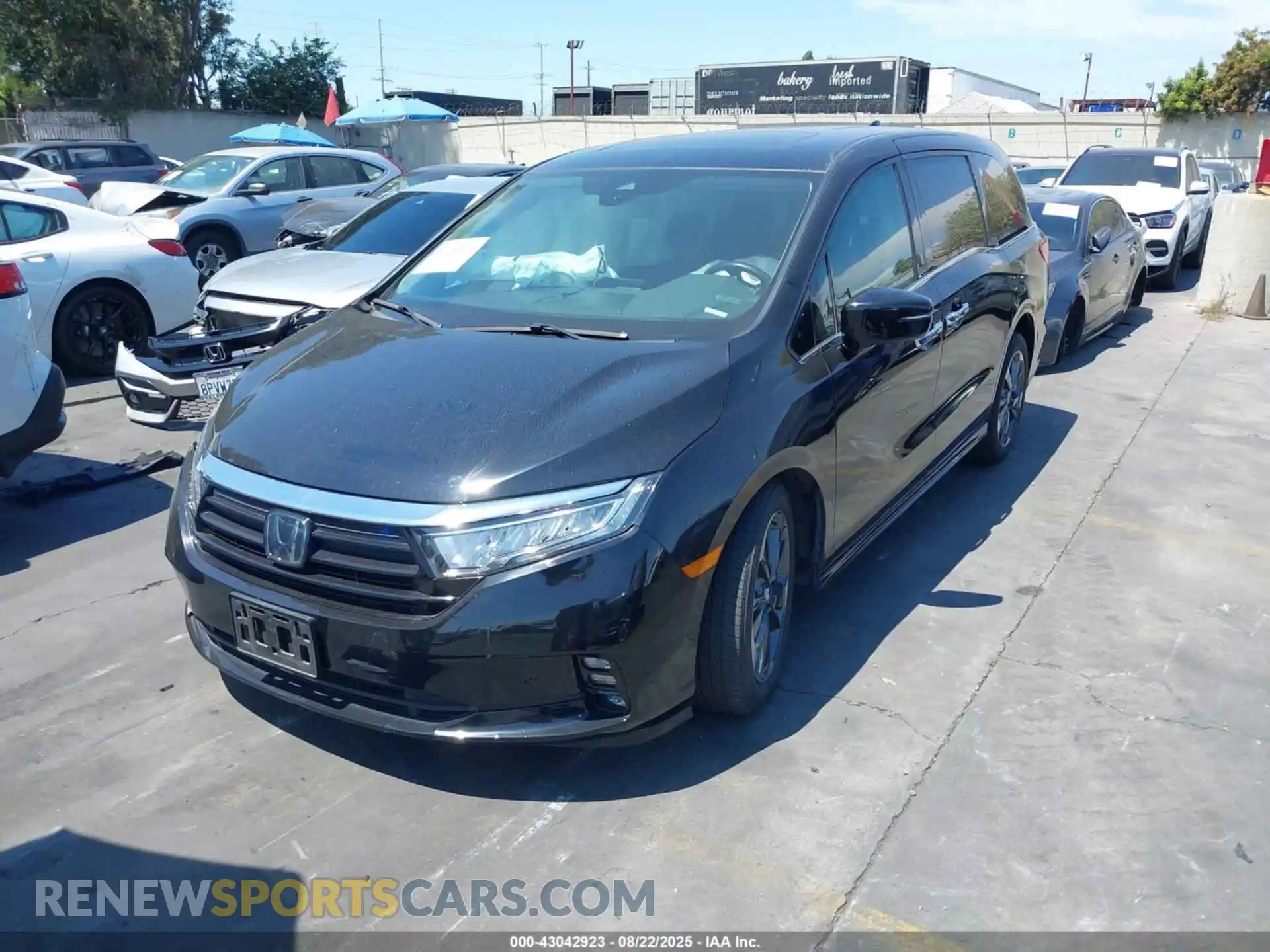 2 fotografías del automóvil dañado 5FNRL6H98NB024155 HONDA ODYSSEY 2022