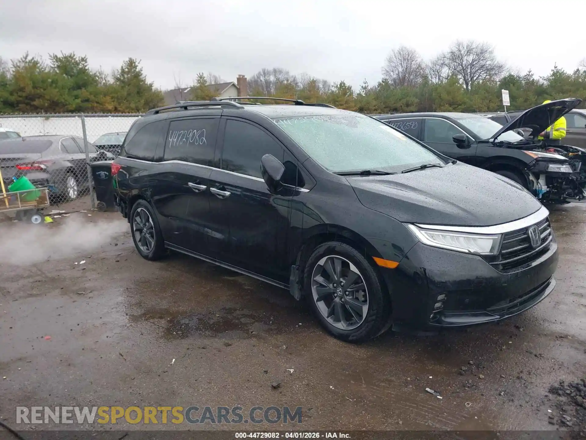 1 Фотография поврежденного автомобиля 5FNRL6H99NB012256 HONDA ODYSSEY 2022