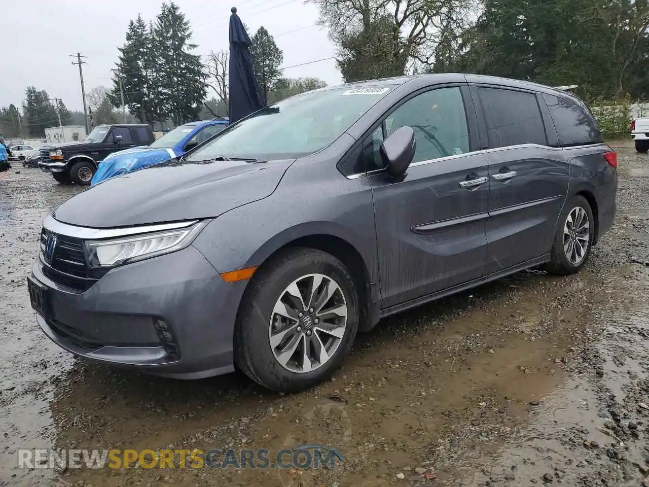 1 Photograph of a damaged car 5FNRL6H65PB043349 HONDA ODYSSEY 2023