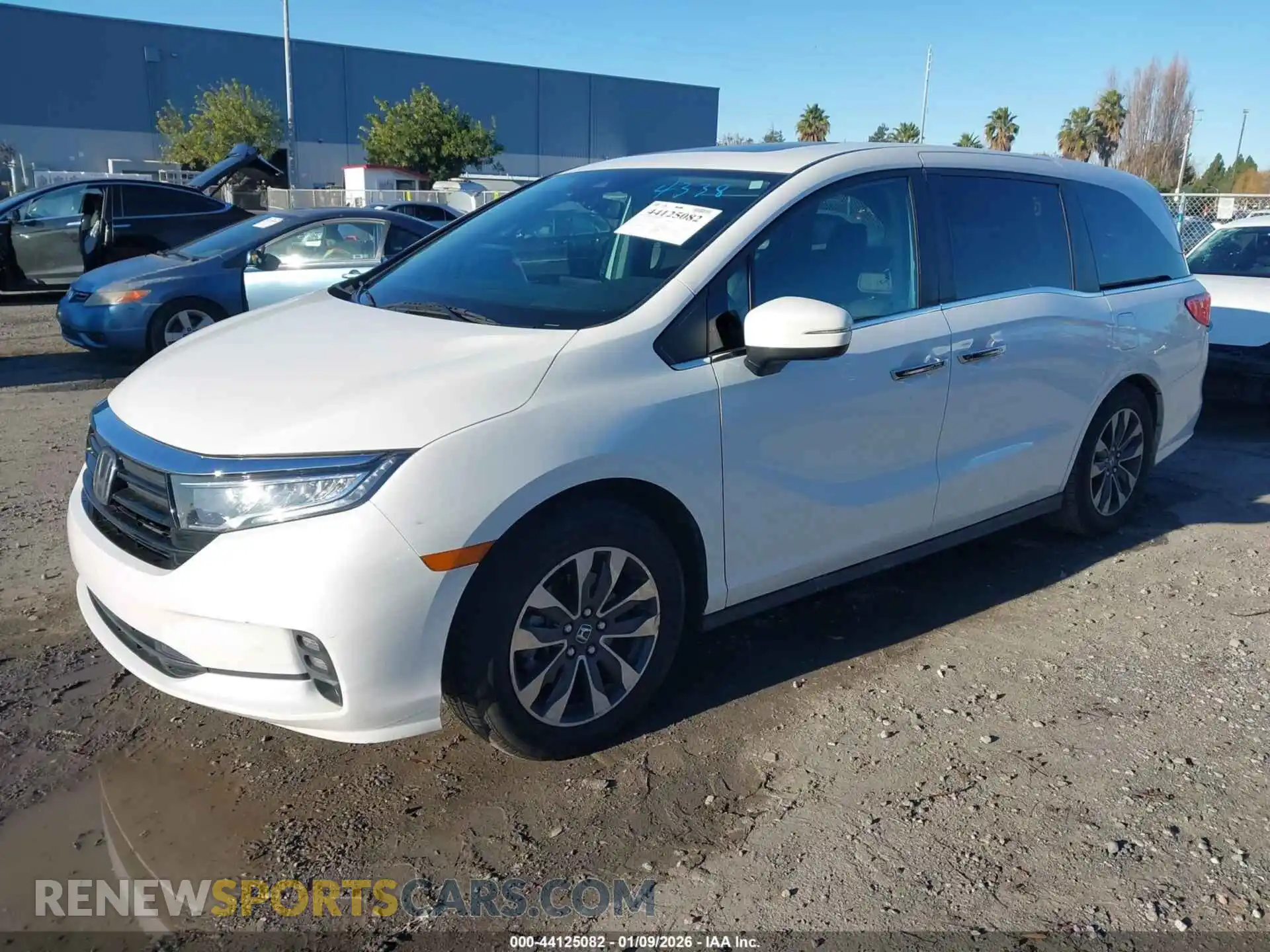 2 Photograph of a damaged car 5FNRL6H65PB044338 HONDA ODYSSEY 2023