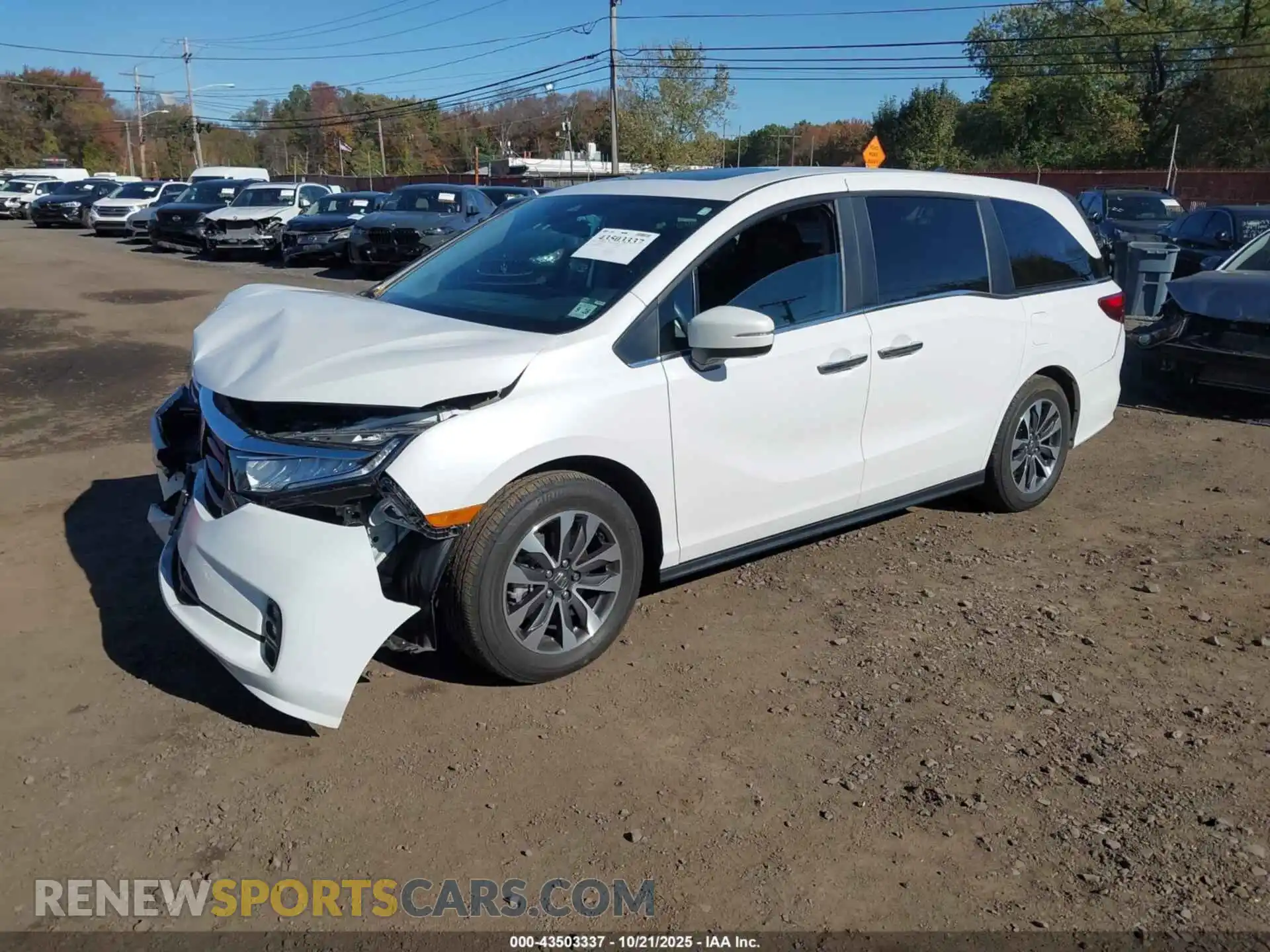2 Photograph of a damaged car 5FNRL6H6XPB079926 HONDA ODYSSEY 2023