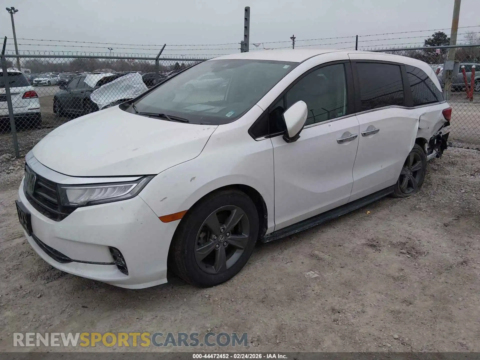 2 Photograph of a damaged car 5FNRL6H55RB022852 HONDA ODYSSEY 2024