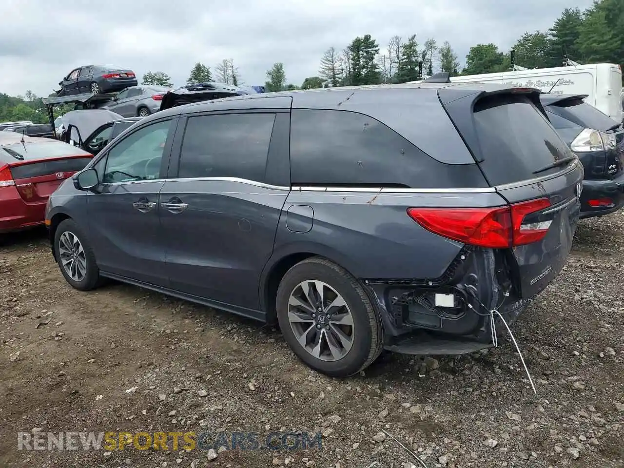 2 fotografías del automóvil dañado 5FNRL6H61RB011968 HONDA ODYSSEY 2024
