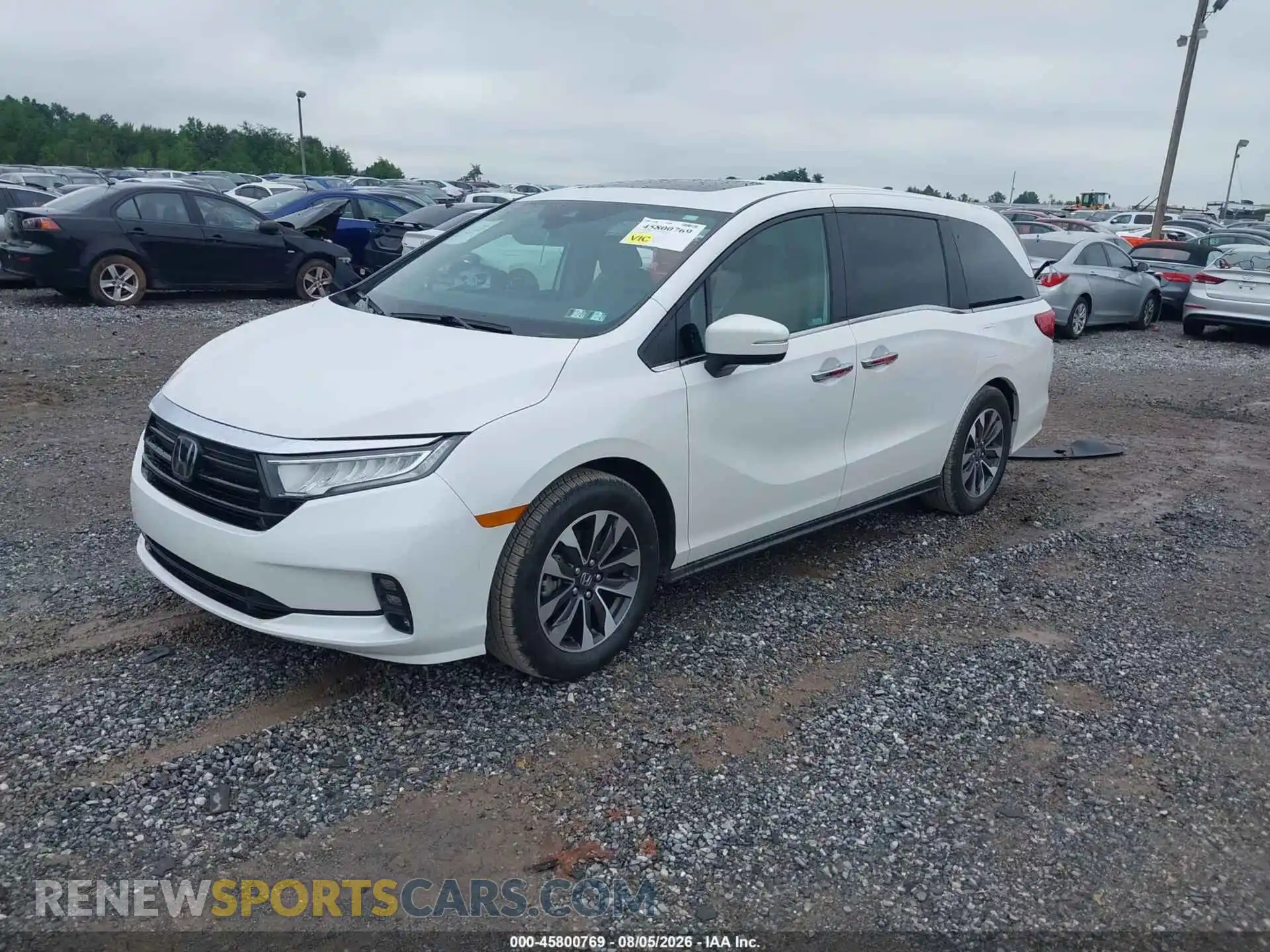 2 fotografías del automóvil dañado 5FNRL6H64RB045516 HONDA ODYSSEY 2024