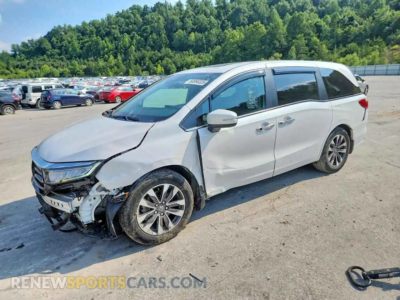 1 fotografías del automóvil dañado 5FNRL6H68RB075635 HONDA ODYSSEY 2024