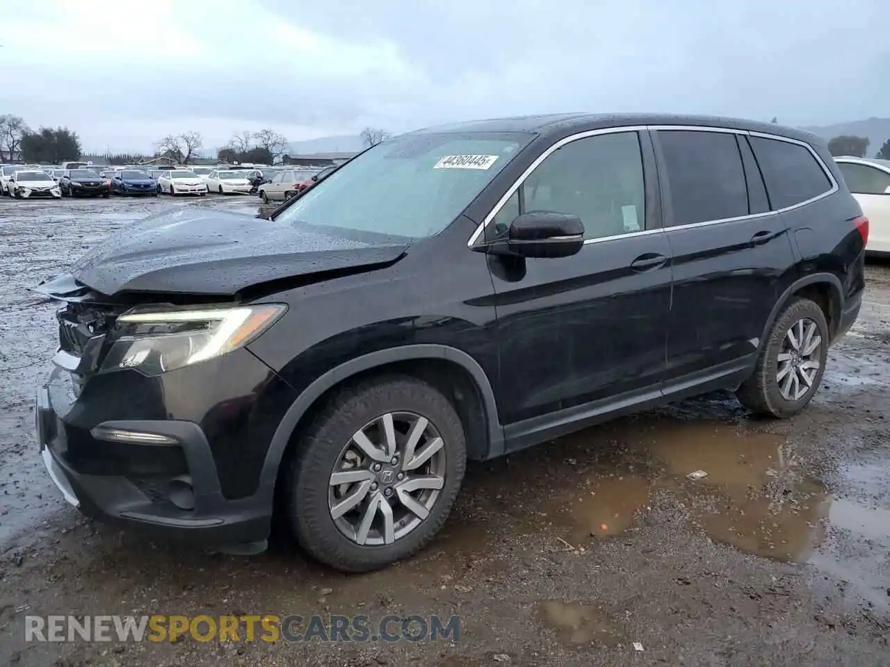 1 Photograph of a damaged car 5FNYF5H58KB036456 HONDA PILOT 2019