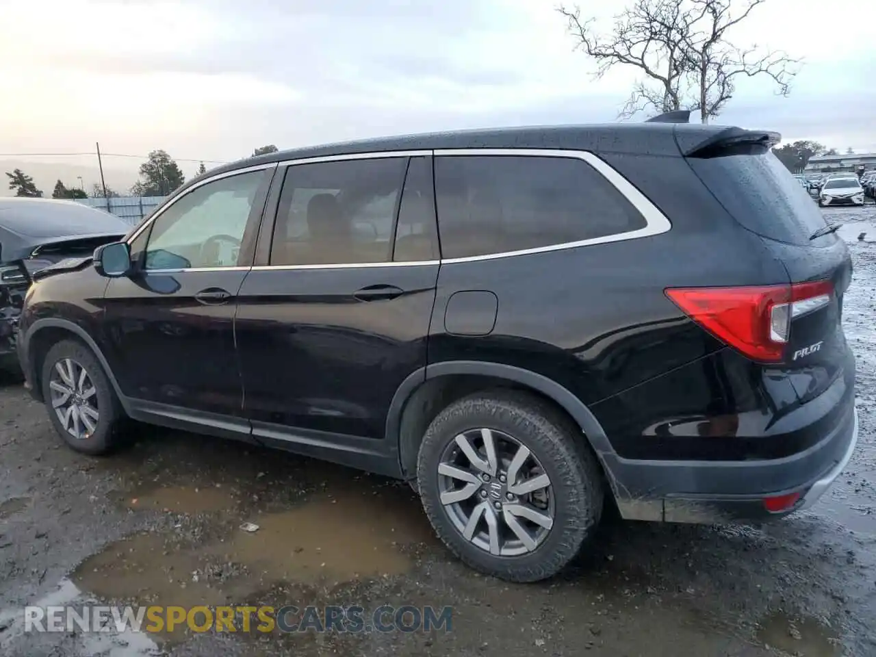 2 Photograph of a damaged car 5FNYF5H58KB036456 HONDA PILOT 2019