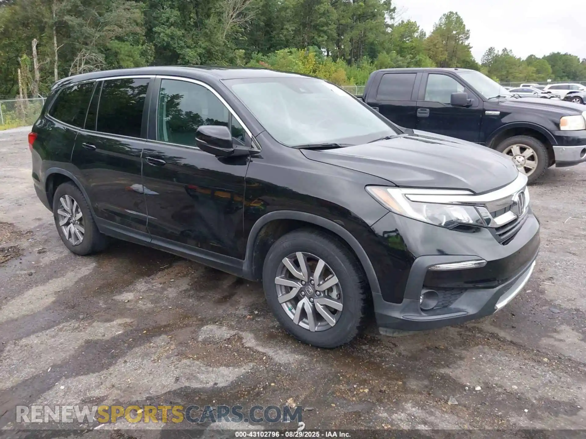 1 Photograph of a damaged car 5FNYF5H56MB021859 HONDA PILOT 2021