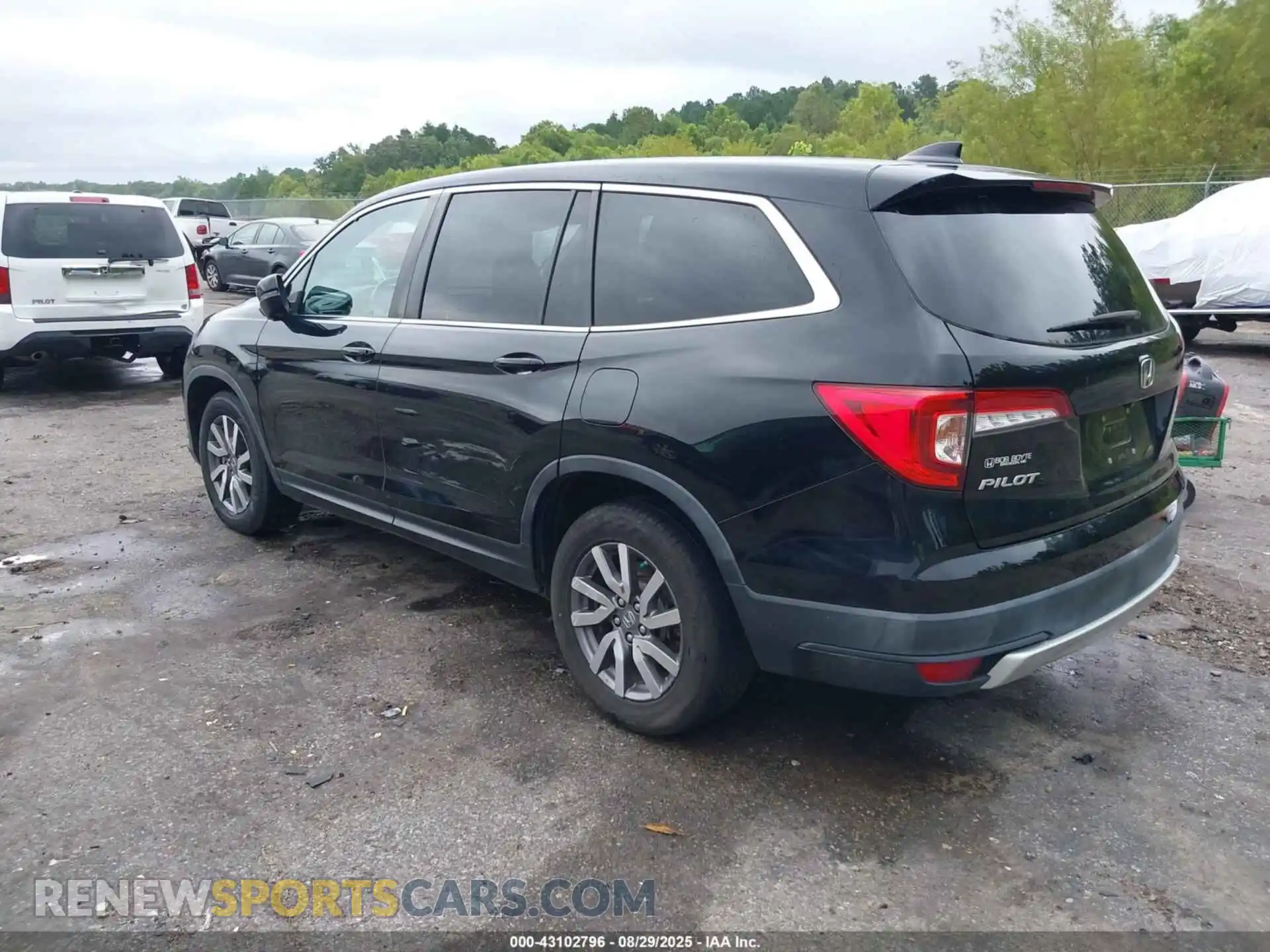 3 Photograph of a damaged car 5FNYF5H56MB021859 HONDA PILOT 2021