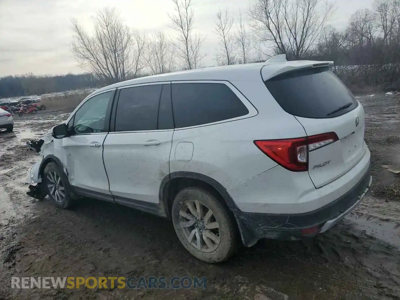 2 Photograph of a damaged car 5FNYF6H34MB022447 HONDA PILOT 2021