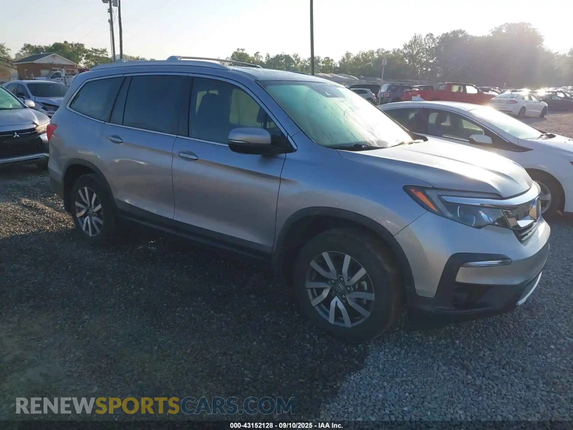 1 Photograph of a damaged car 5FNYF6H51MB062616 HONDA PILOT 2021