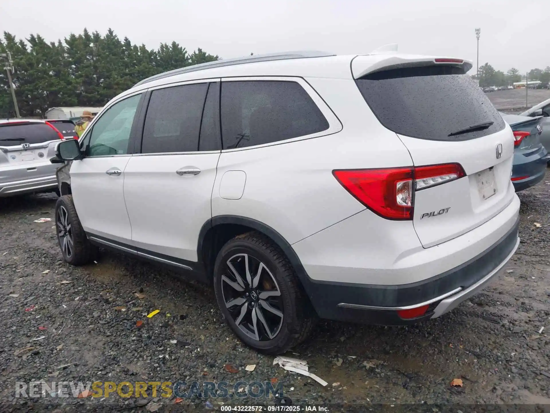 3 Photograph of a damaged car 5FNYF6H93MB026803 HONDA PILOT 2021