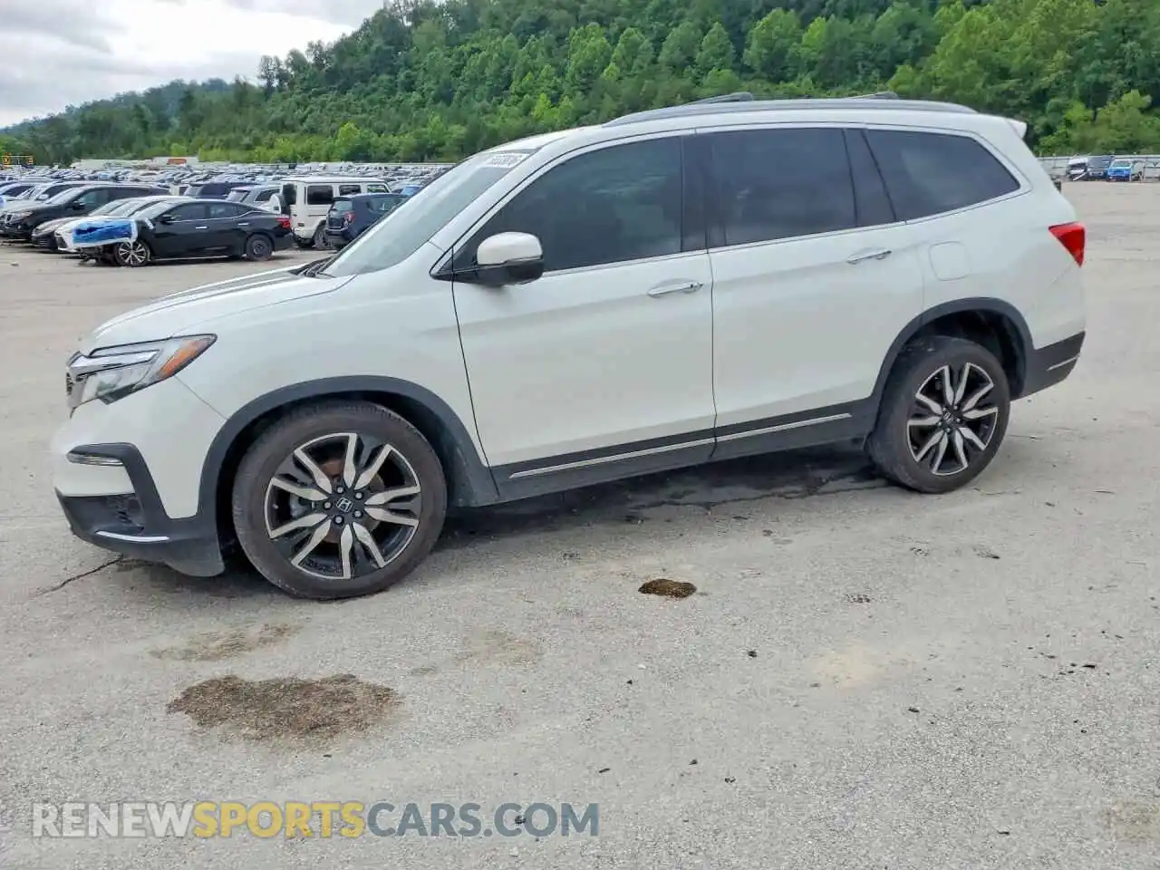 1 Photograph of a damaged car 5FNYF6H96NB016090 HONDA PILOT 2022